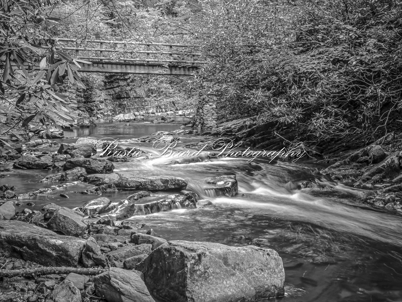 A Bridge Between