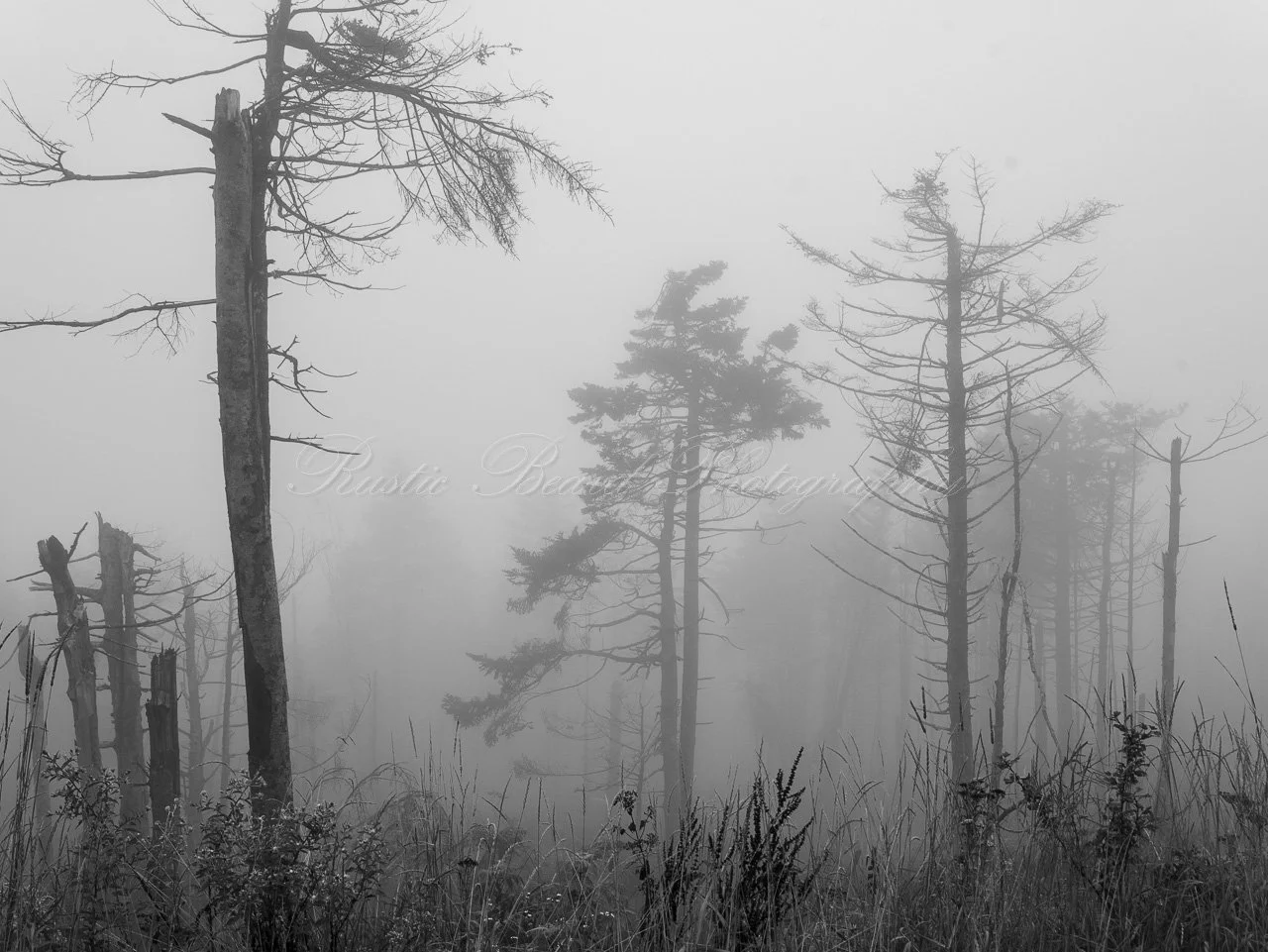 In The Clouds