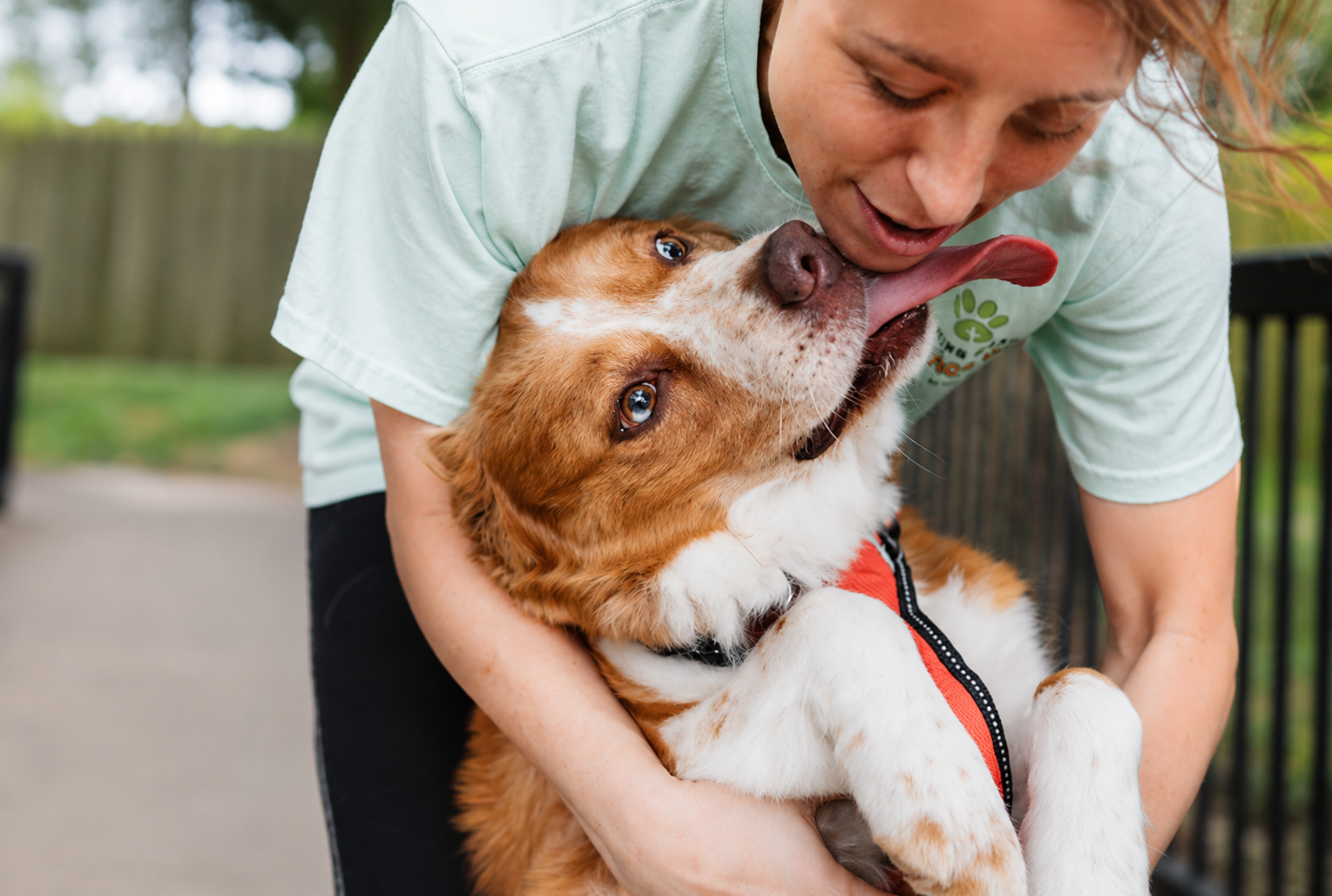 A person hugging a happy brown and white dog in an outdoor setting.