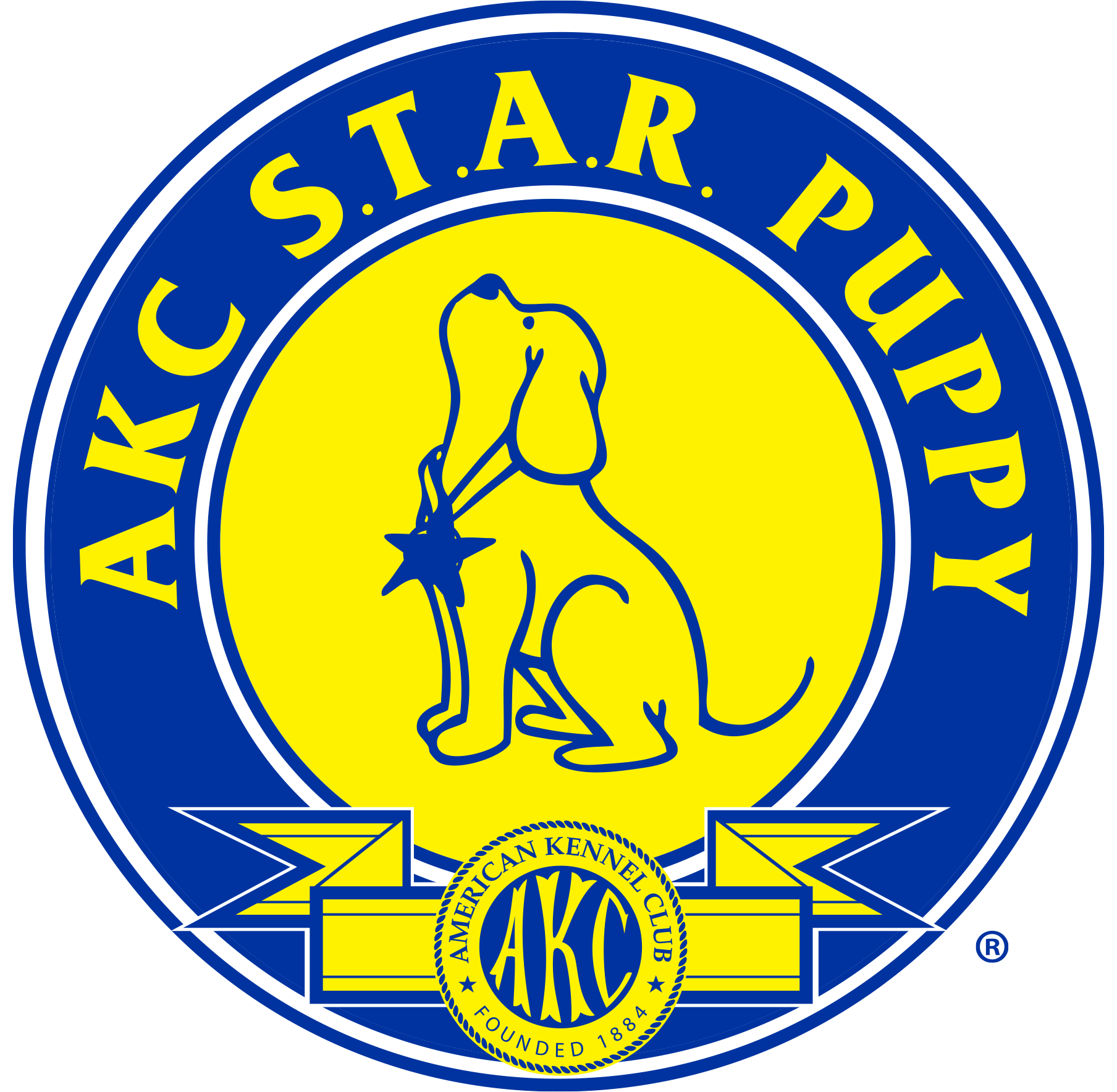 The emblem of the American Kennel Club, featuring a yellow background with a blue and white border, and a blue outline of a dog in the center. The text around the dog reads "S.T.A.R. PUPPY," with the American Kennel Club's founding year, 1884, at the bottom of the emblem.