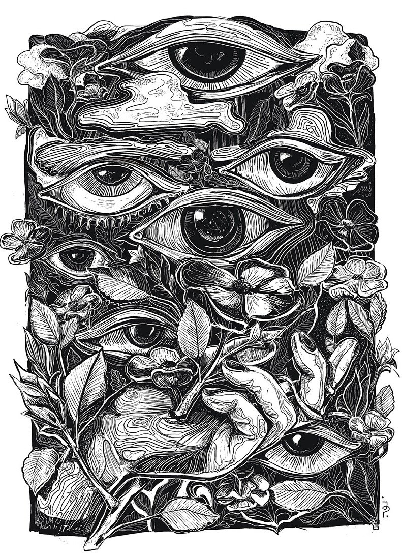 The Observers