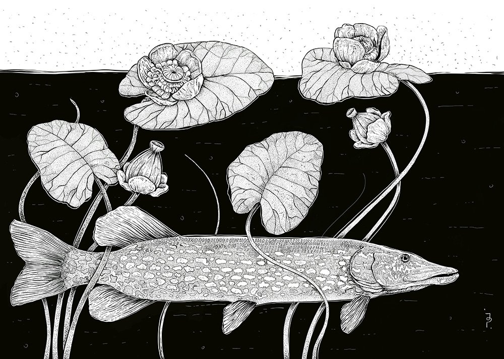 Under The Surface
