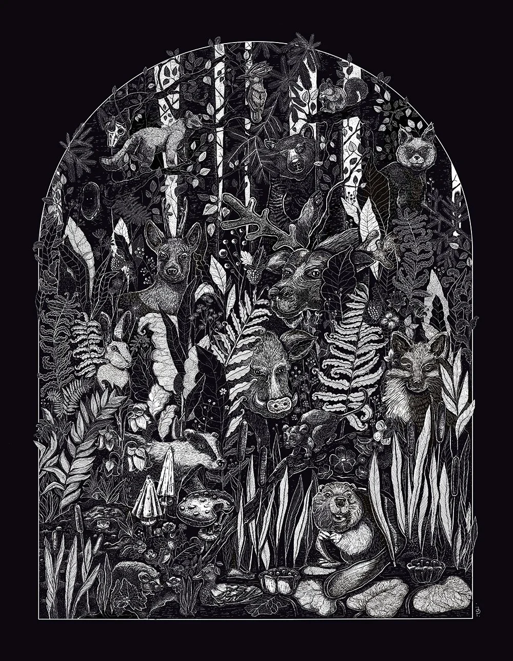 Into The Woods