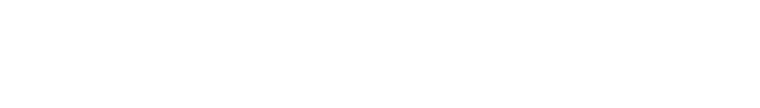 NorthStarLD Consulting