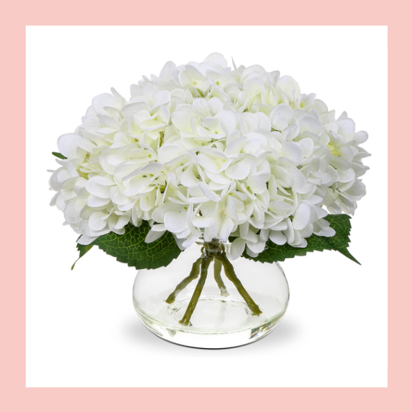 White hydrangea flowers in a clear glass vase with green leaves.