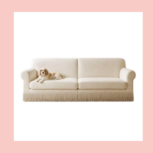 A beige sofa with a fringe along the bottom sits against a white wall with a pink border. A small, light-colored dog is lying on the left side of the sofa.