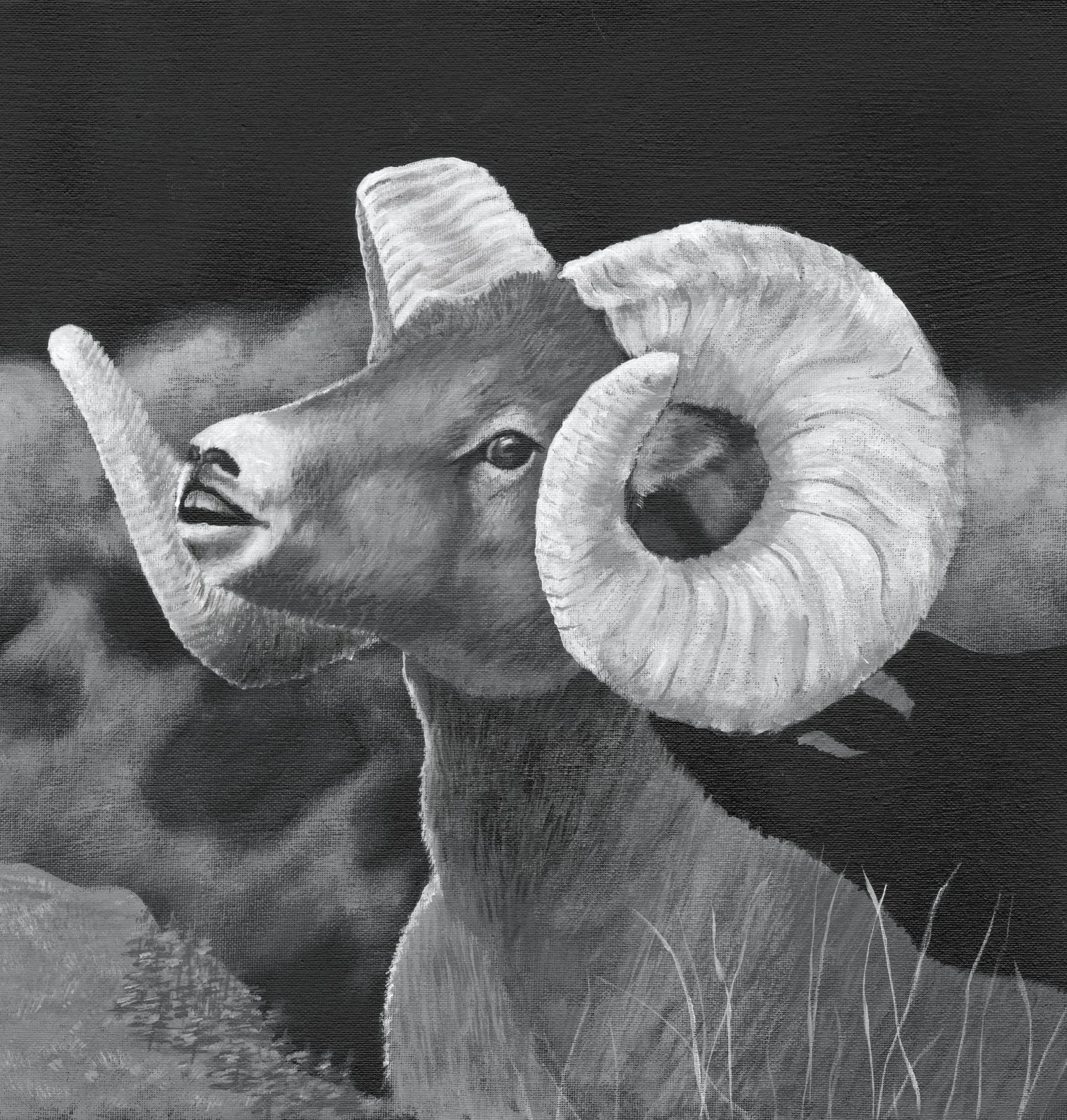 Ram Tough