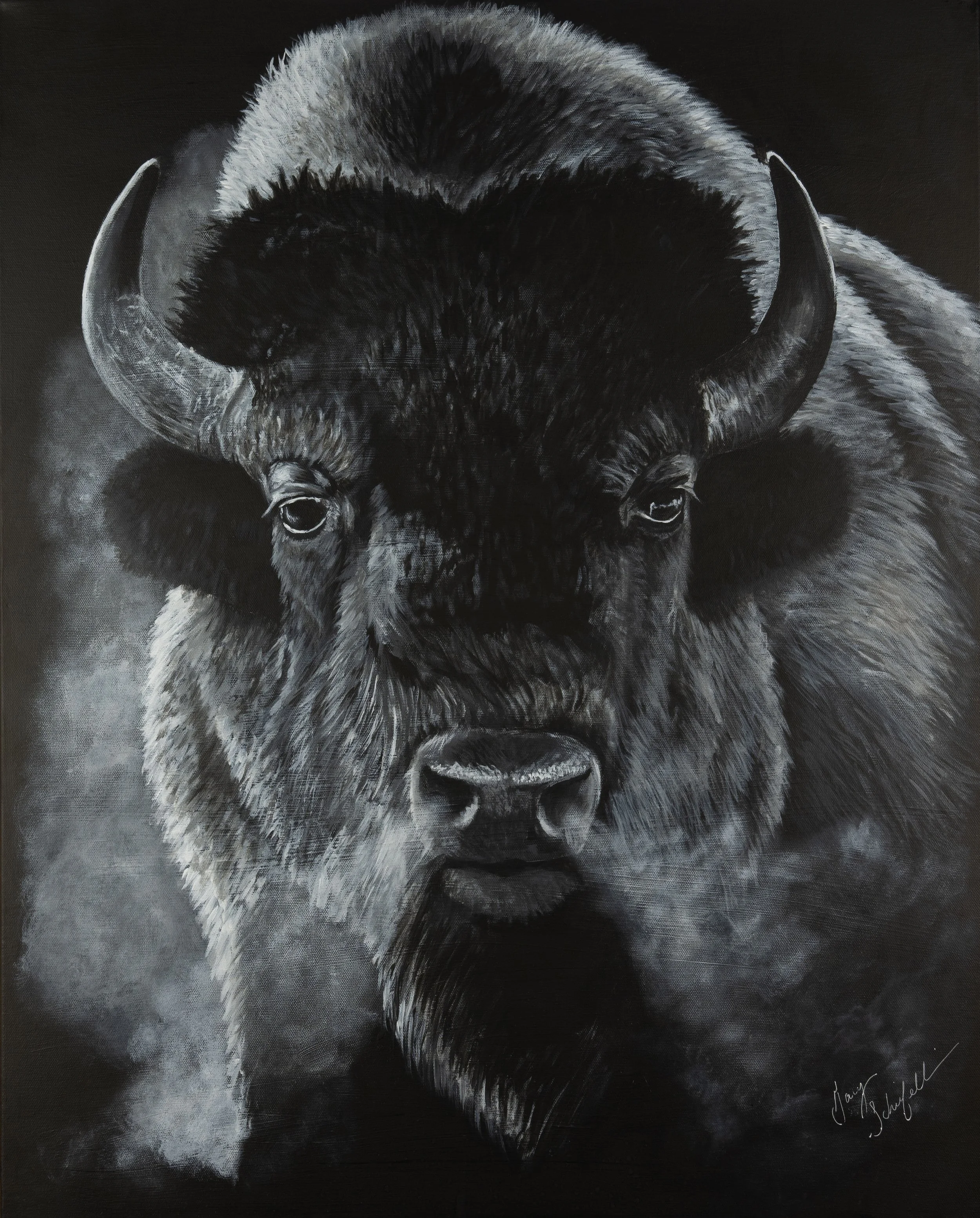 Bison