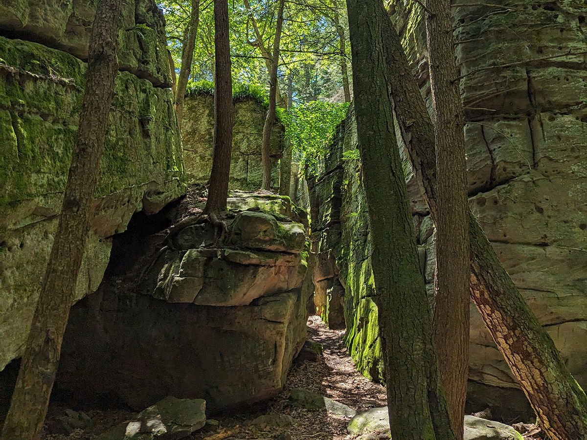 A narrow forest passage with moss-covered rocks and tall trees, sunlight filtering through green leaves.