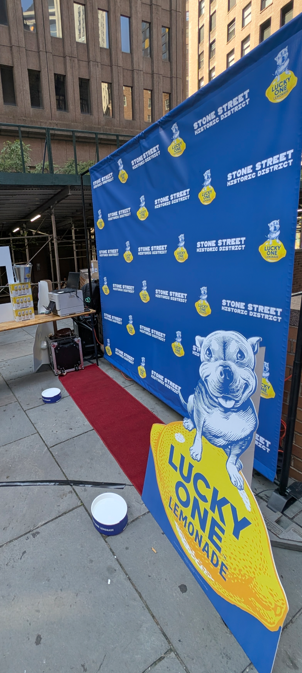 Lucky Dog Pop-Up