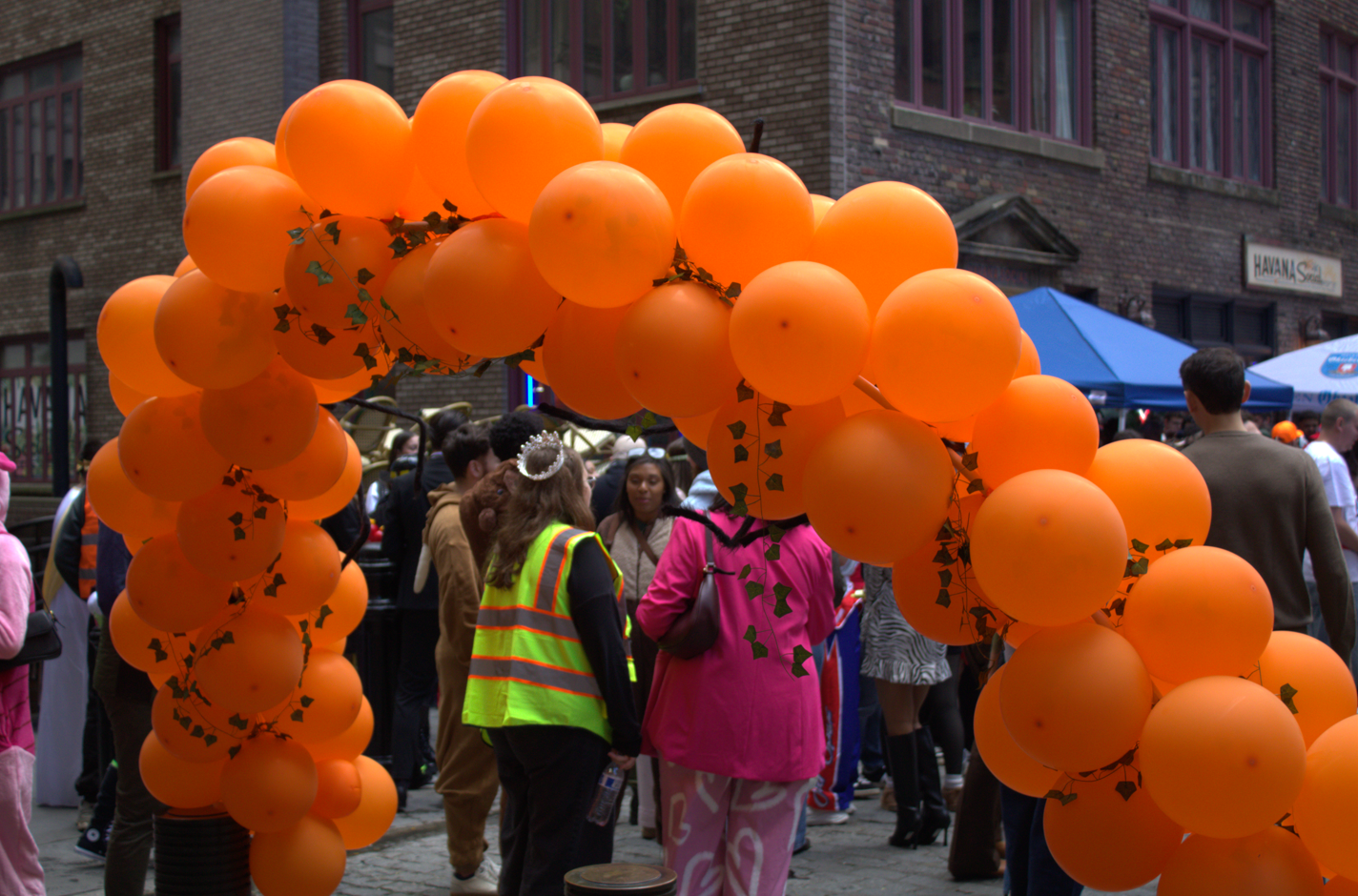Balloon Arch