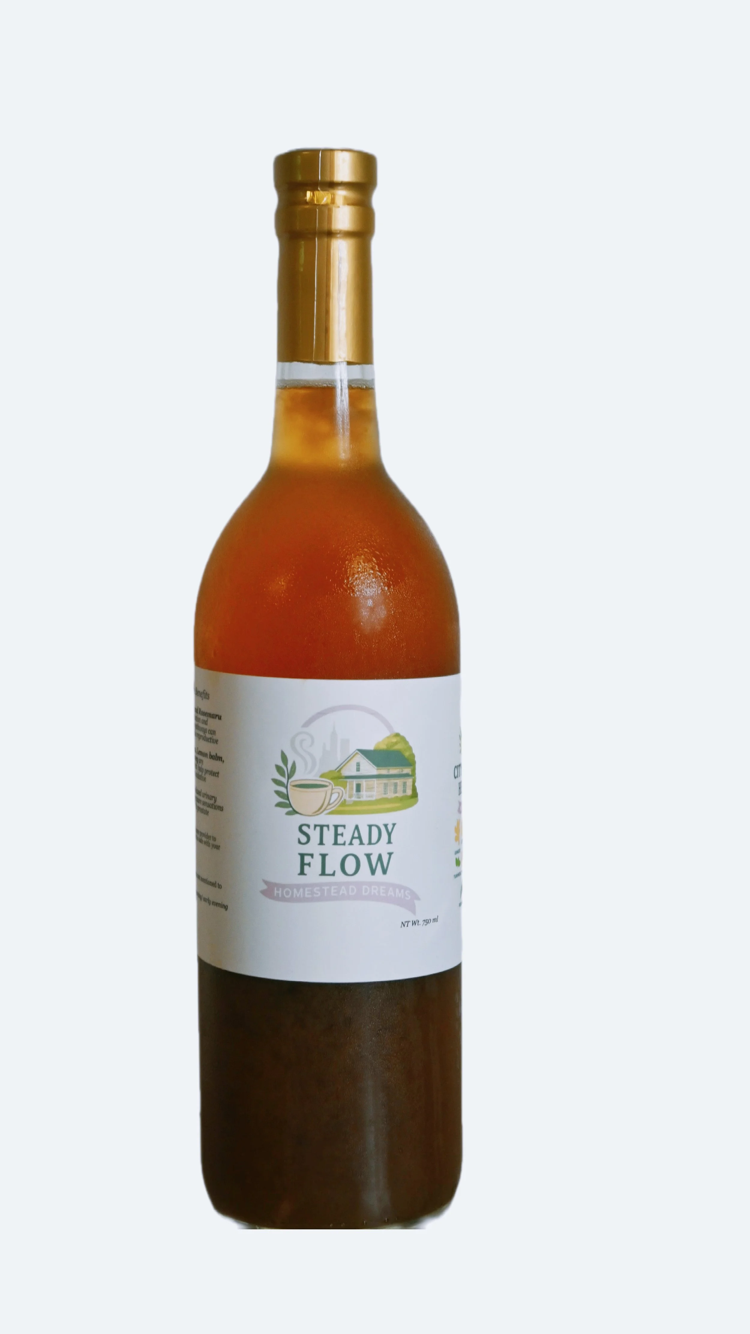 PRE- ORDER- Steady Flow – Men's Health (Bottle)