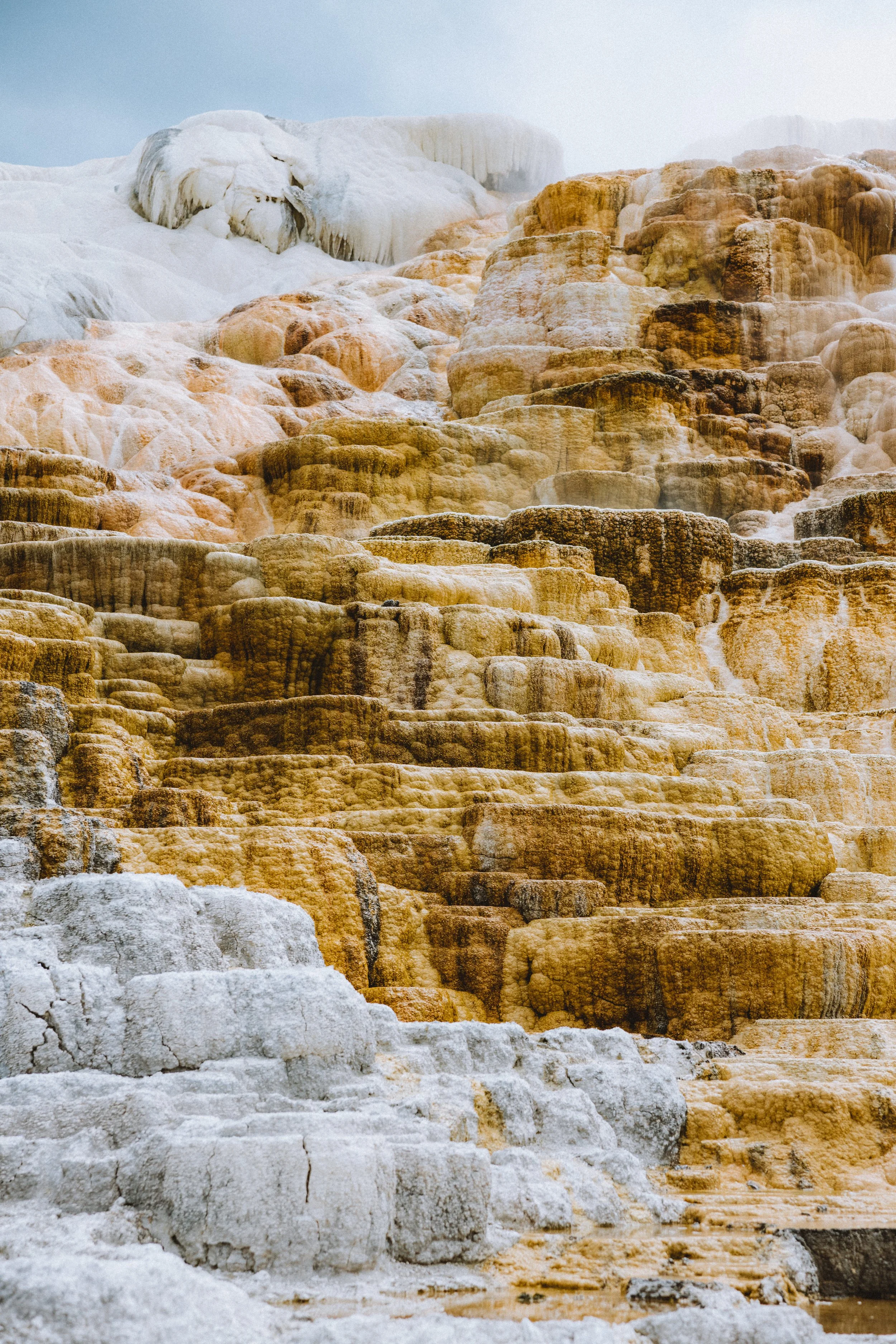 yellowstone-national-park-mammoth-hot-springs-wyoming-road-trip-photography-the-mandagies-130.jpg