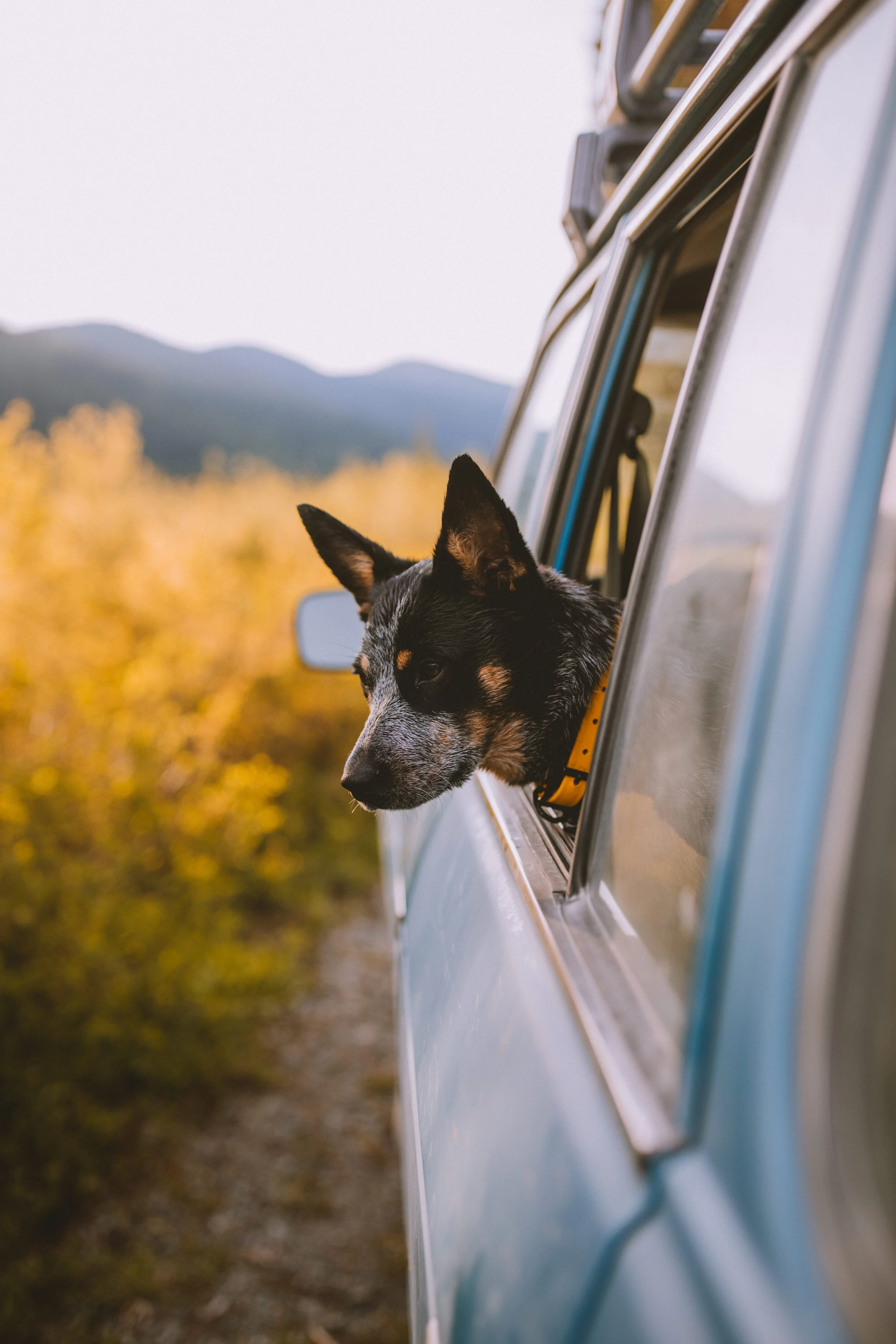 Montana Summer with Forrest Mankins - Lake McDonald, Glacier NP-72.jpg