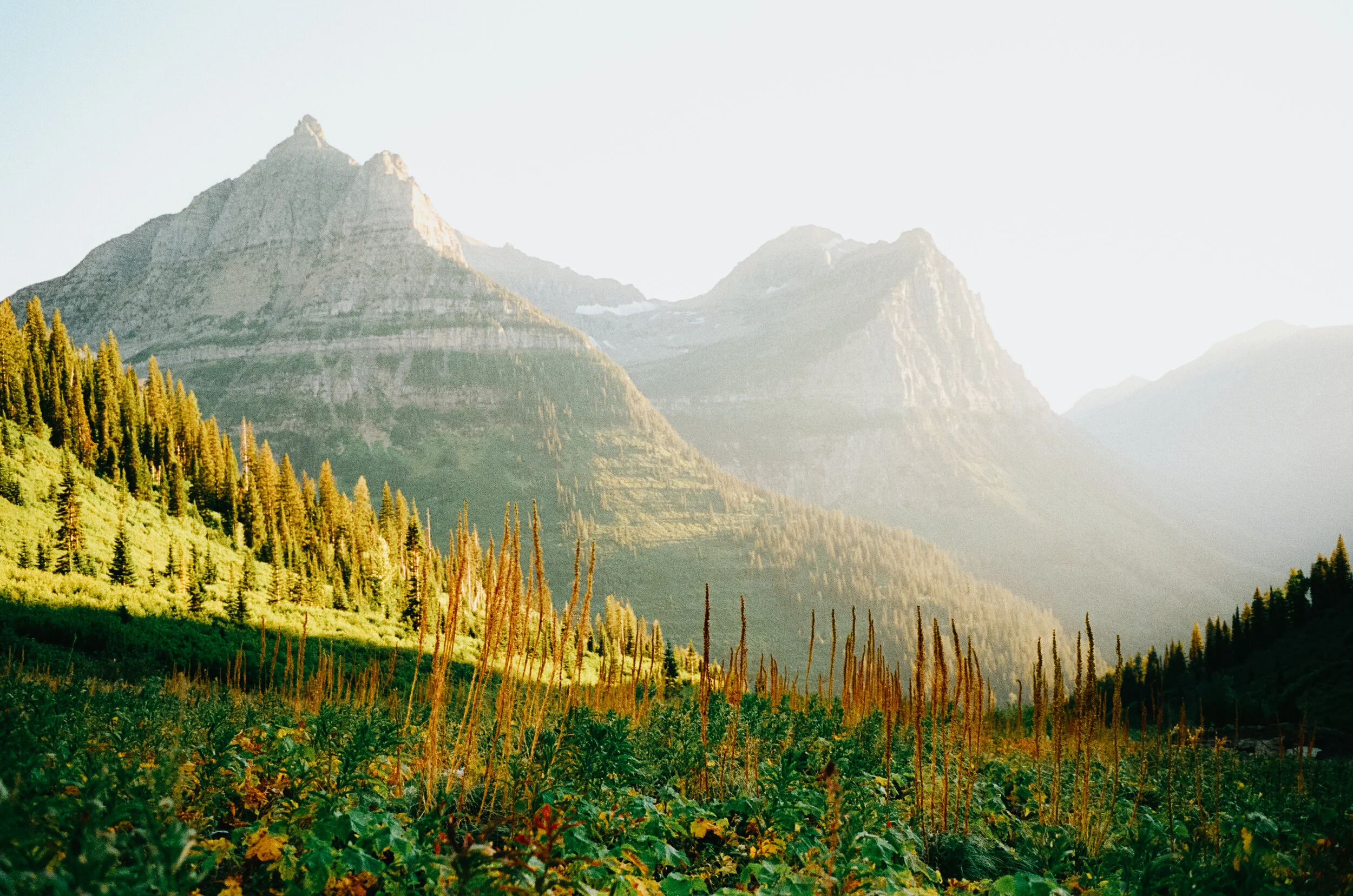 a fun week at glacier np