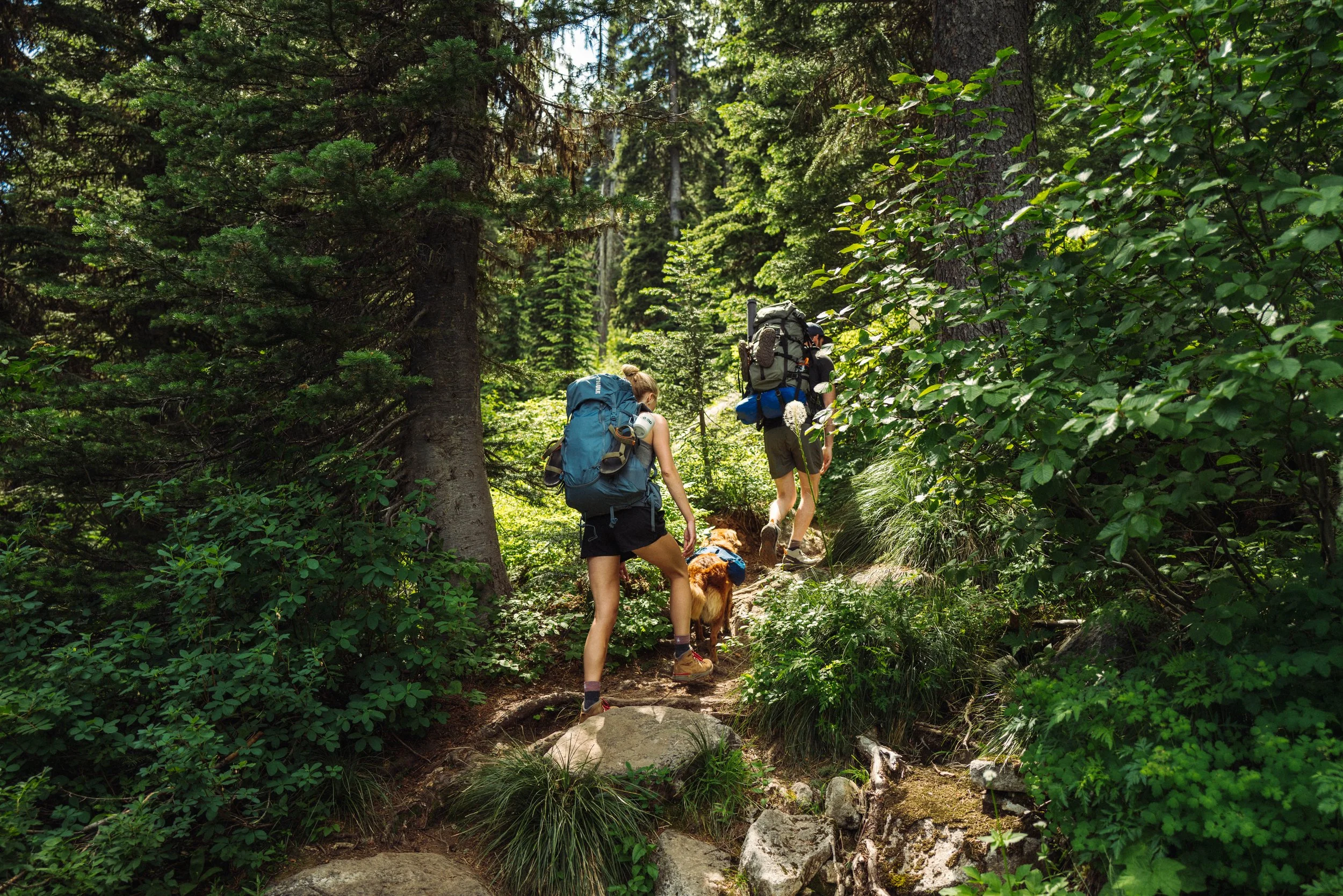Beehive-Lakes-Trail-Idaho-The-Mandagies-4.jpg