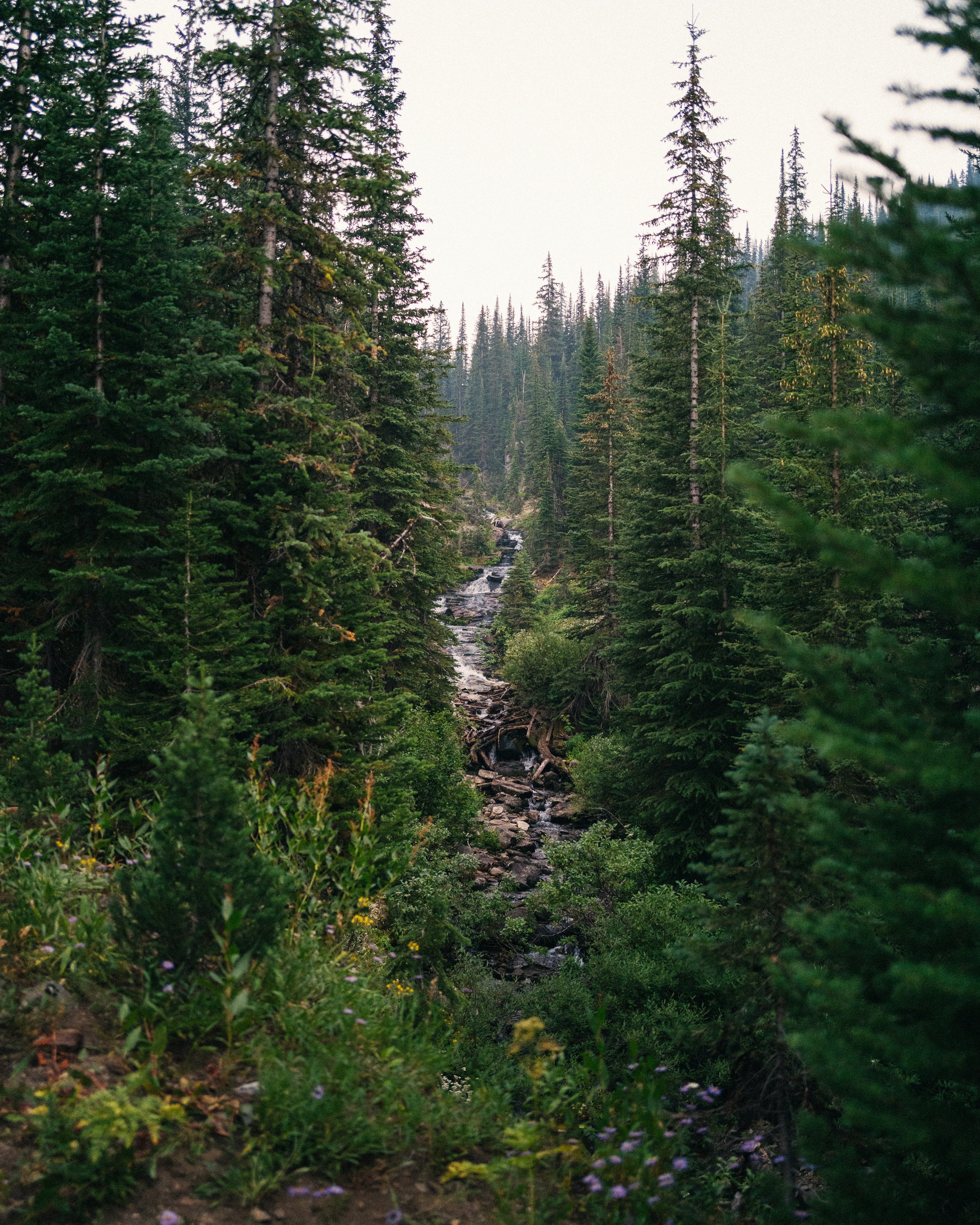 Wallowa-Eagle-Cap-Wilderness-Oregon-Backpacking-Pelican-Brewery-The-Mandagies-85.jpg