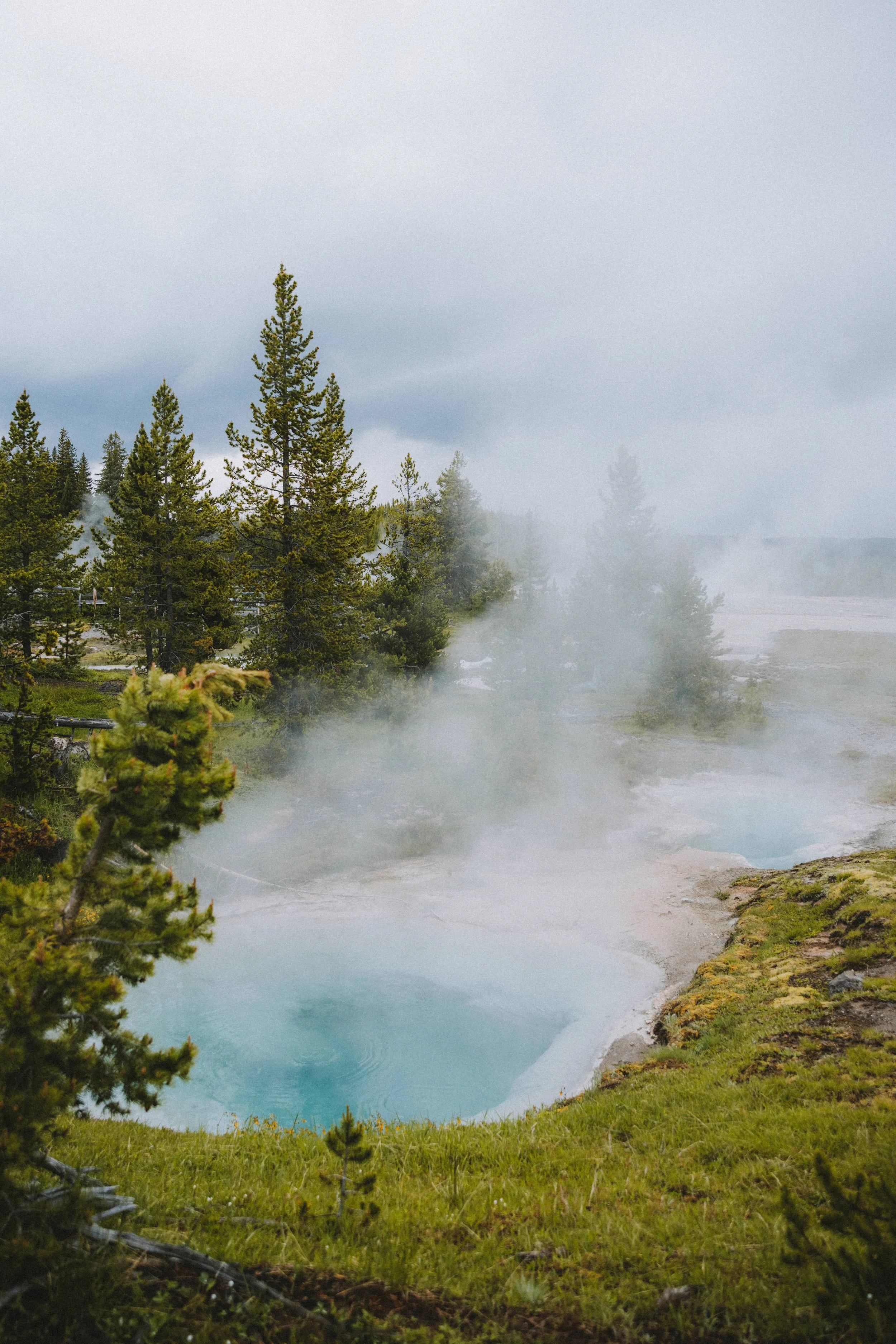 yellowstone-national-park-wyoming-wildlife-road-trip-photography-the-mandagies-199.jpg