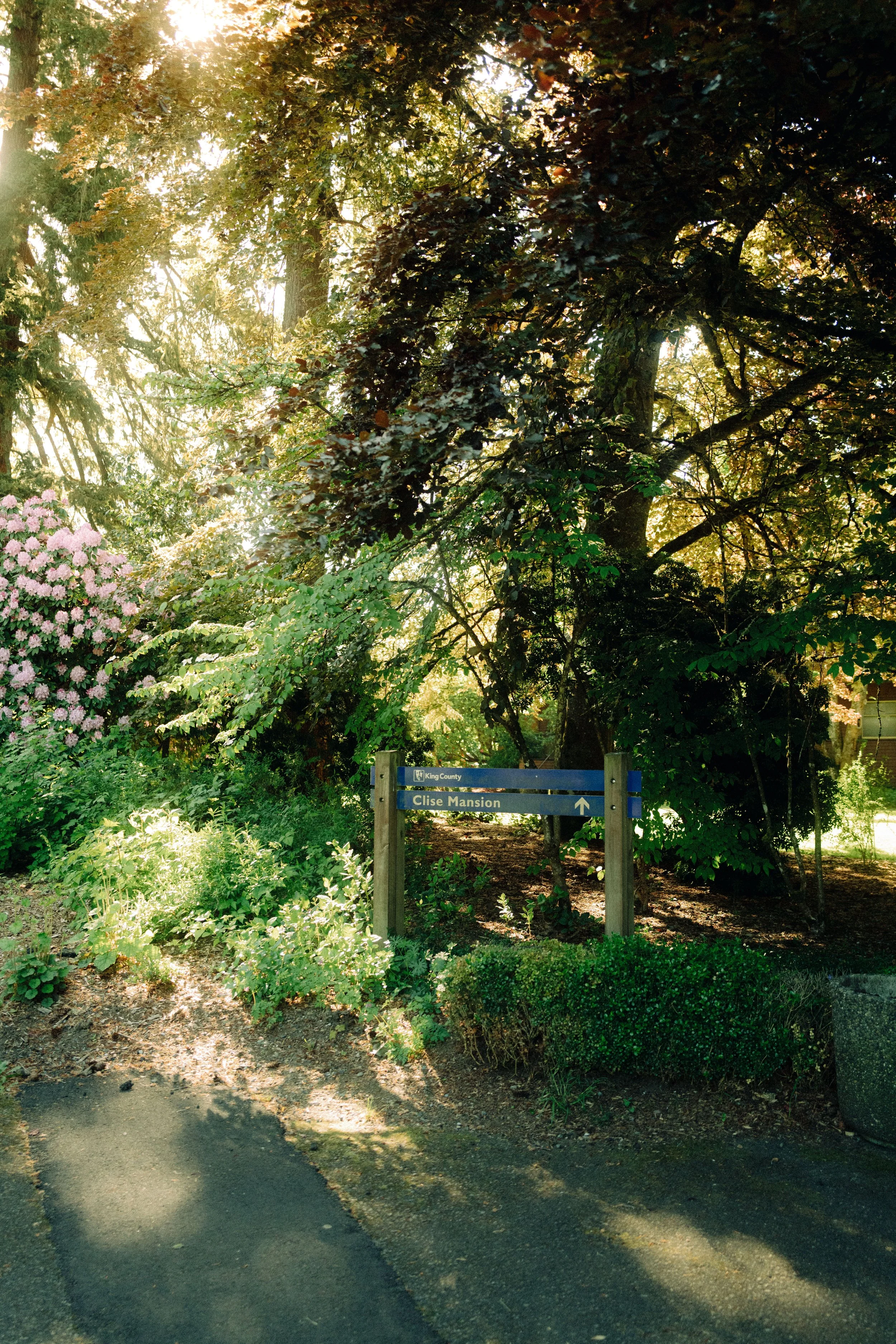 Experience - Redmond - Washington State - The Mandagies-61.jpg