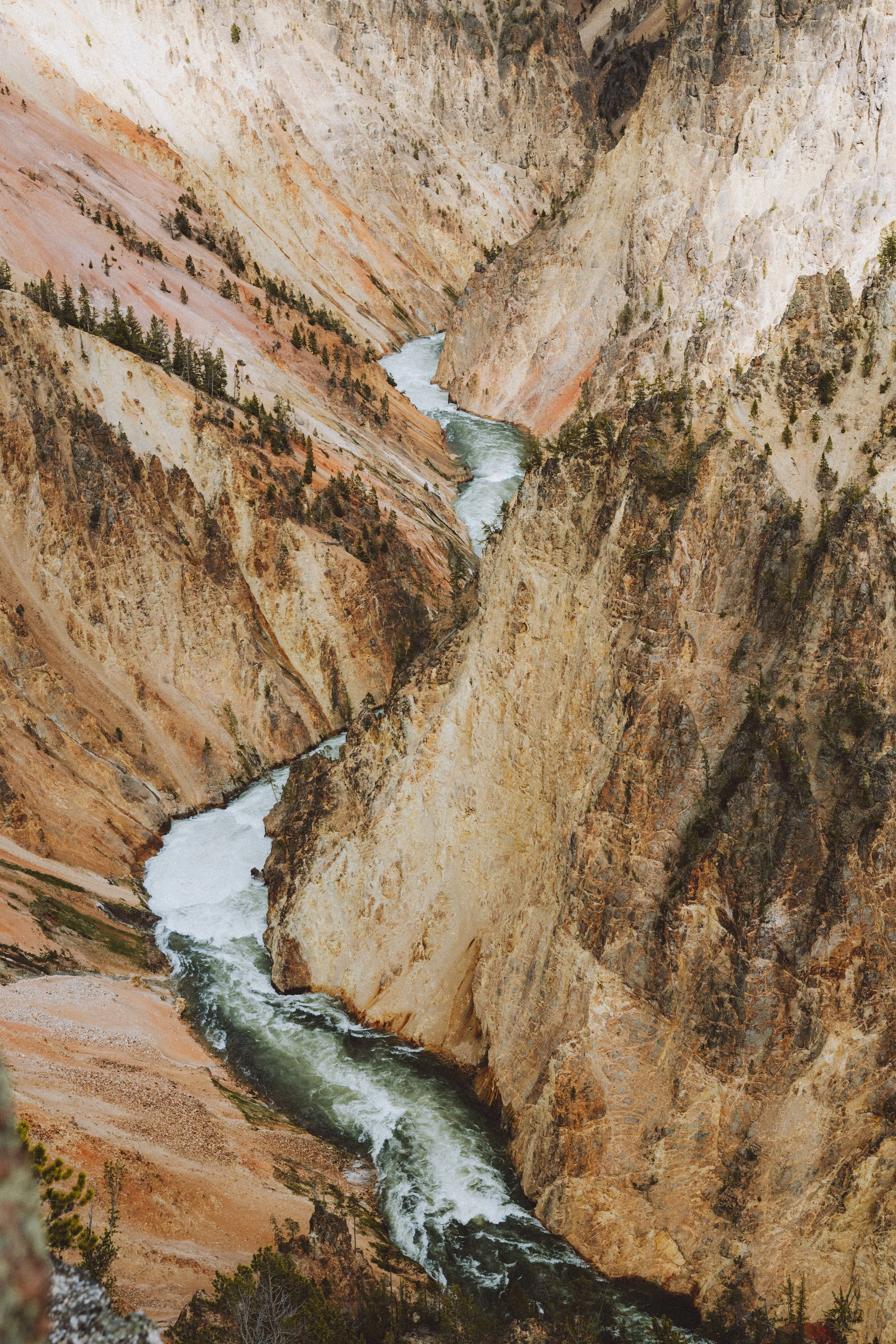 yellowstone-national-park-wyoming-wildlife-road-trip-photography-the-mandagies-117.jpg