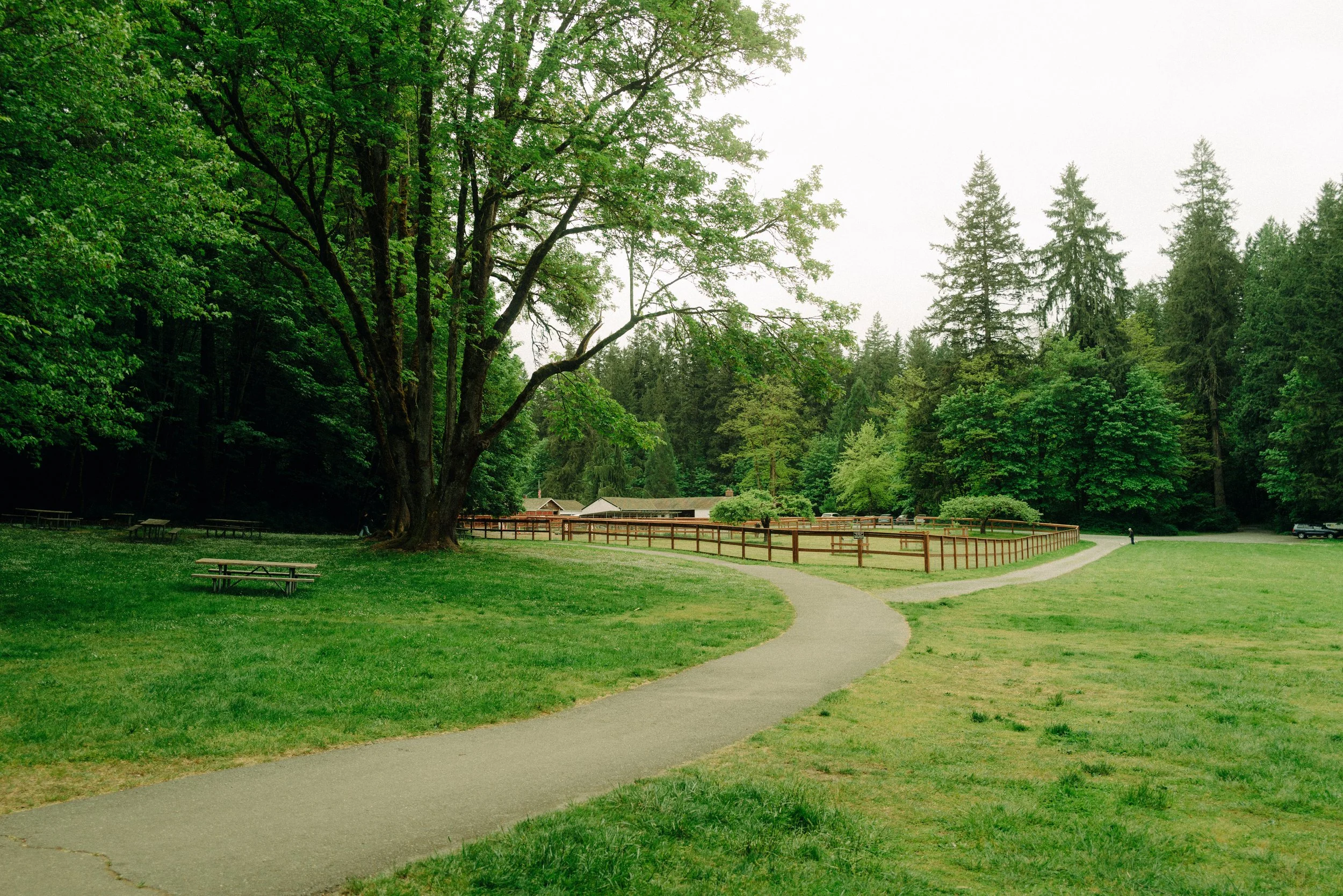 Experience - Redmond - Washington State - The Mandagies-36.jpg