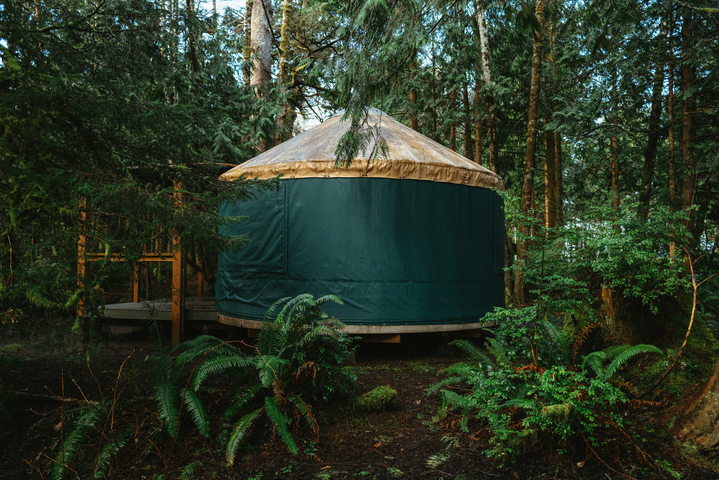 Stanley-Spring-Camping-Oregon-Coast-The-Mandagies-3.jpg