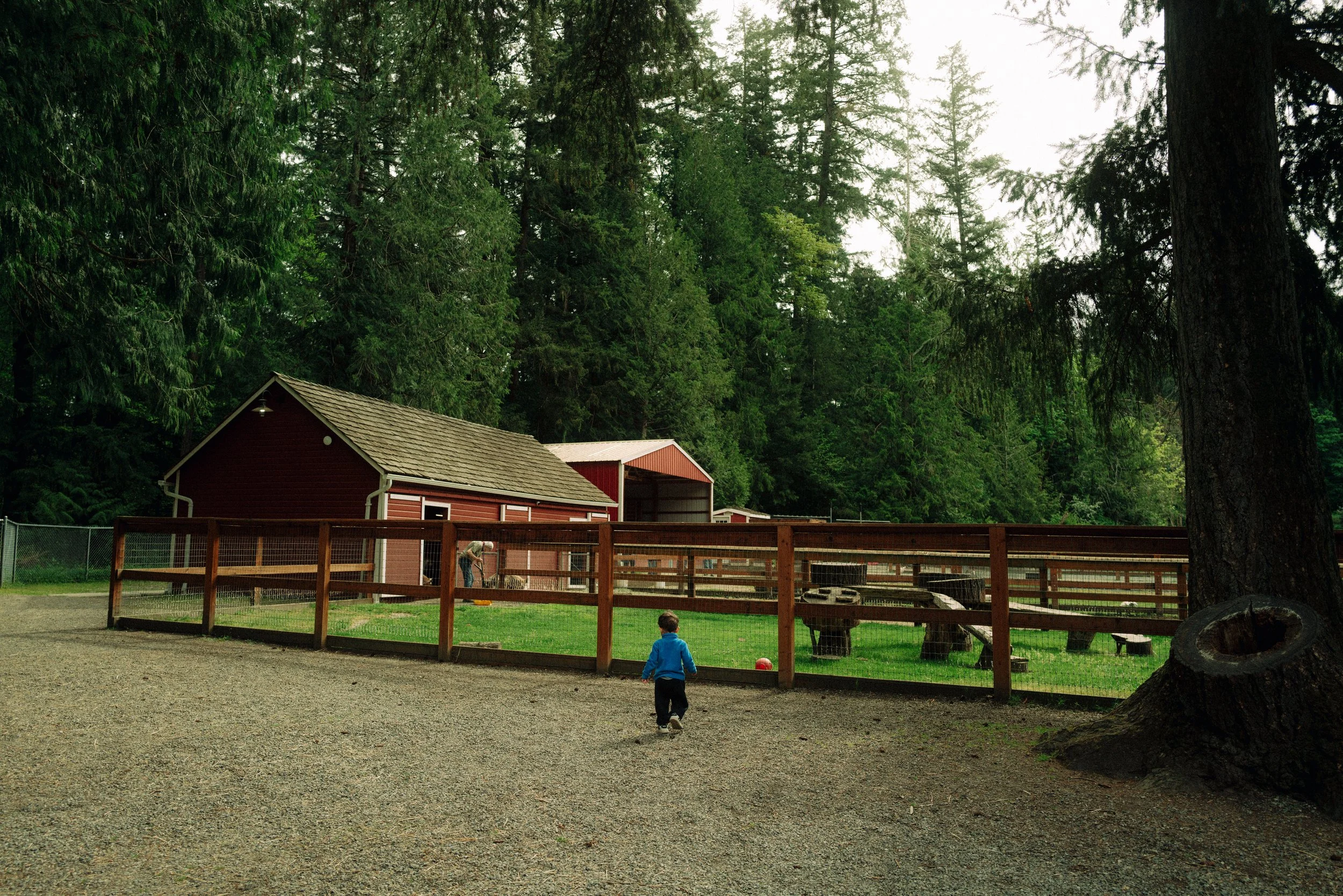 Experience - Redmond - Washington State - The Mandagies-26.jpg