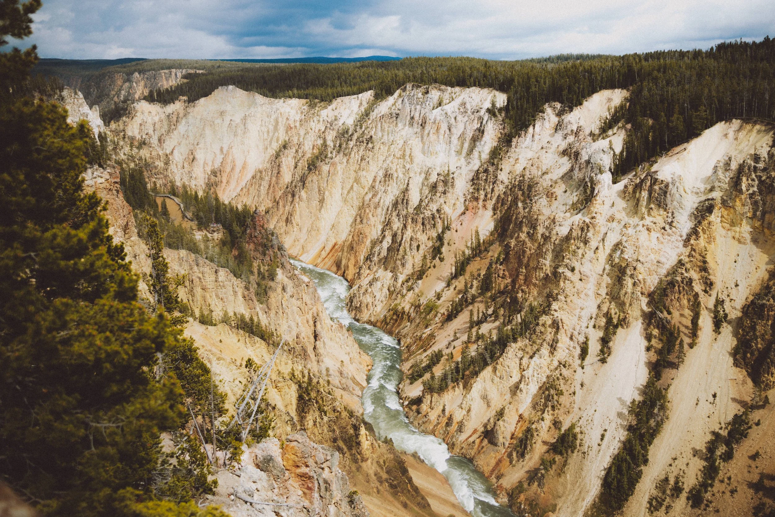 yellowstone-national-park-wyoming-wildlife-road-trip-photography-the-mandagies-75.jpg