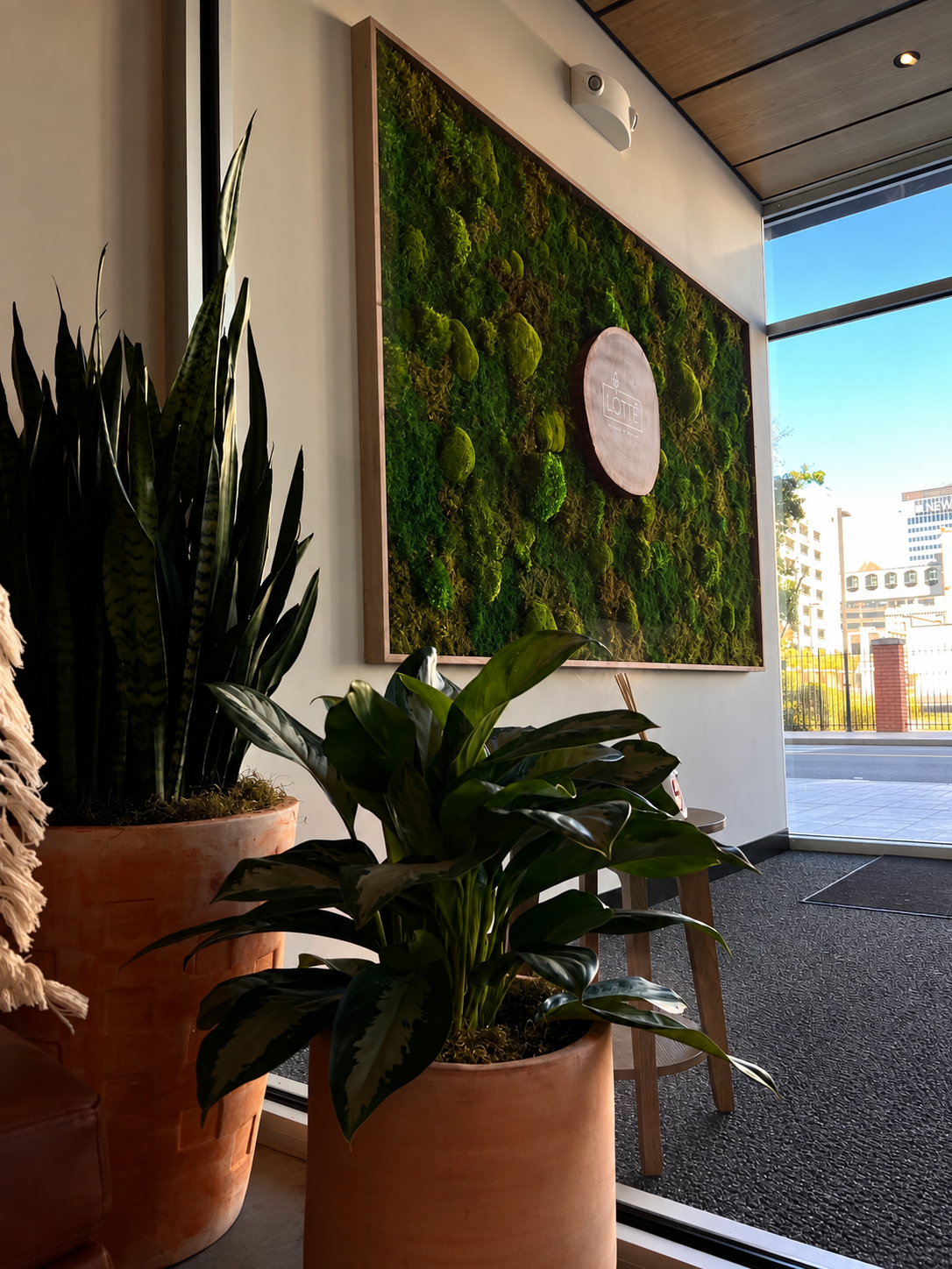 Indoor plant arrangement with a moss wall and city view through glass window