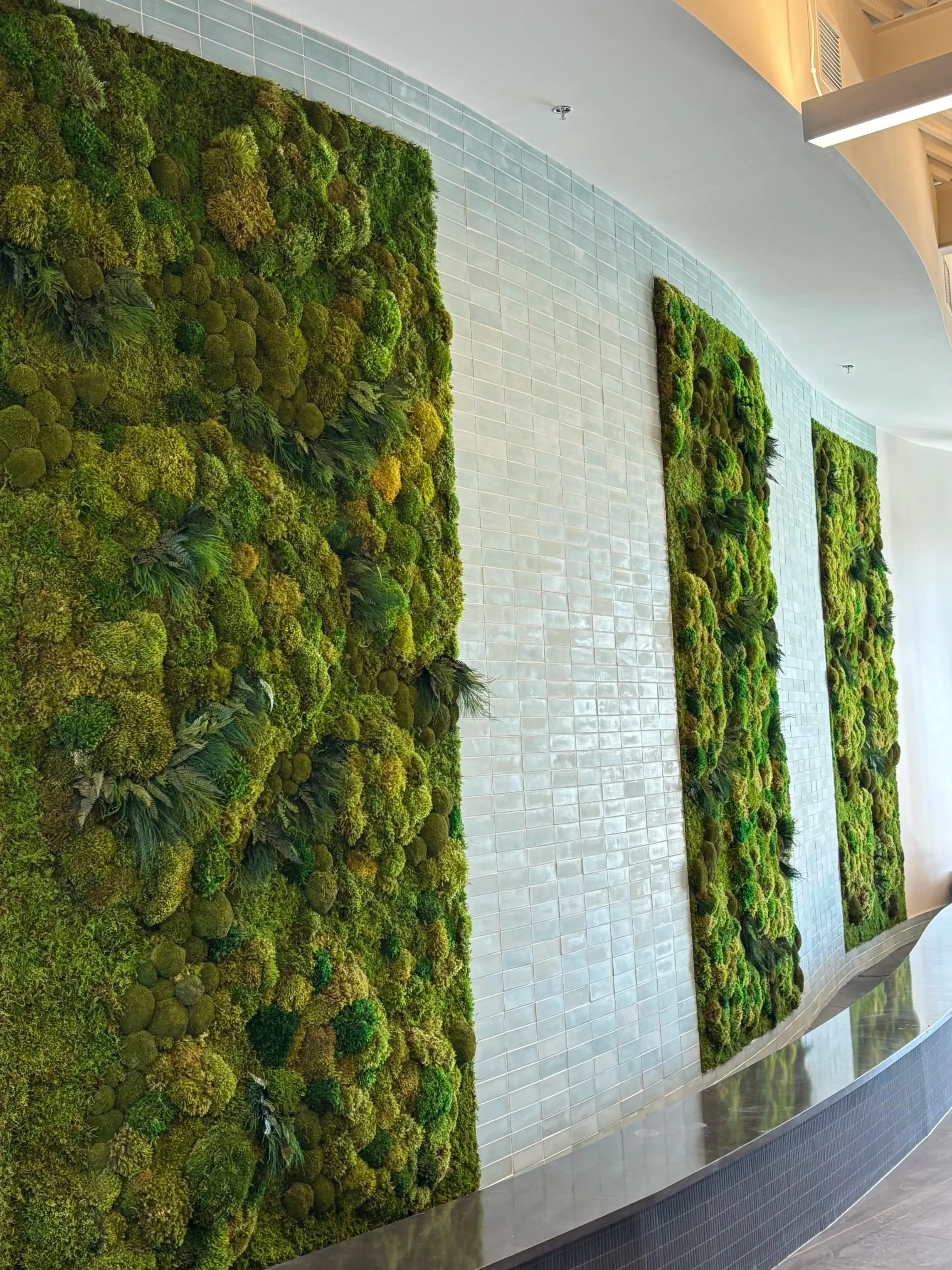Indoor green moss wall installation with photographs of multiple rectangular moss panels on a curved wall, featuring various shades of green moss and plants, in a modern building interior.