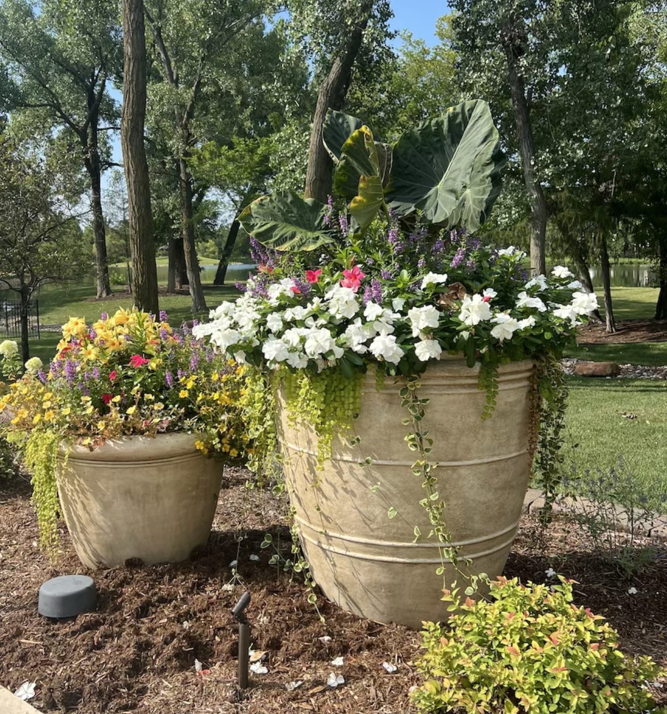 Two large concrete planters filled with colorful flowers and green foliage, set in a well-maintained garden with trees and a pond in the background.