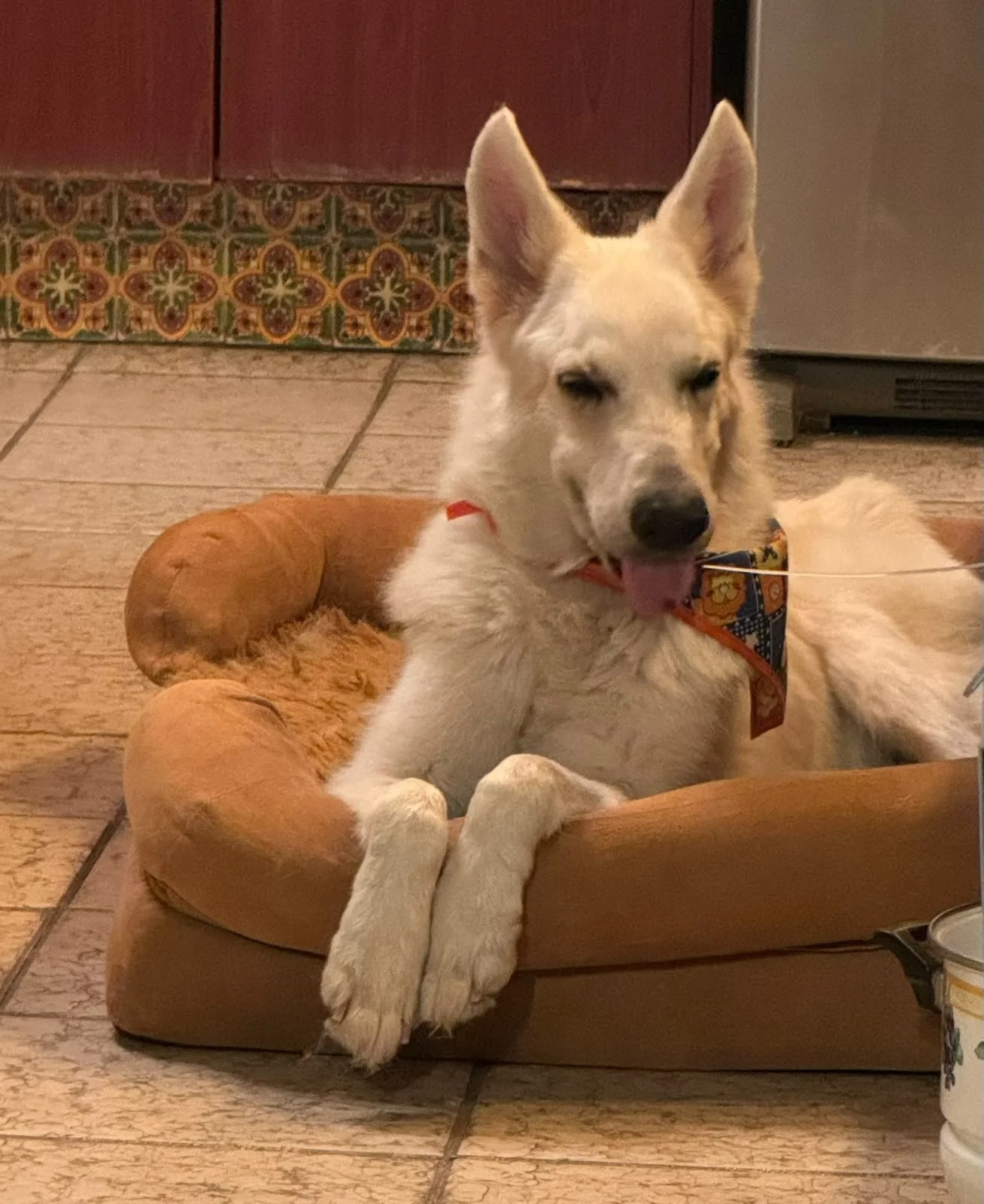 Nita - Found her way to love.