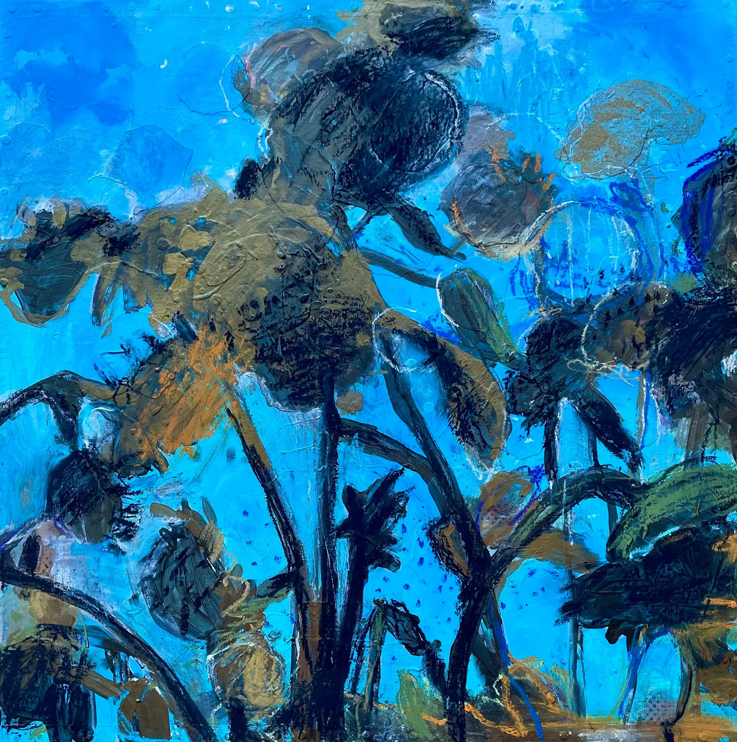 Gegenlicht. Sonnenblumen. Himmelblau.