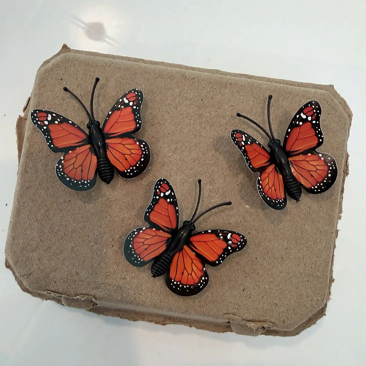 Kraft egg carton lid with three 3D monarch butterflies.