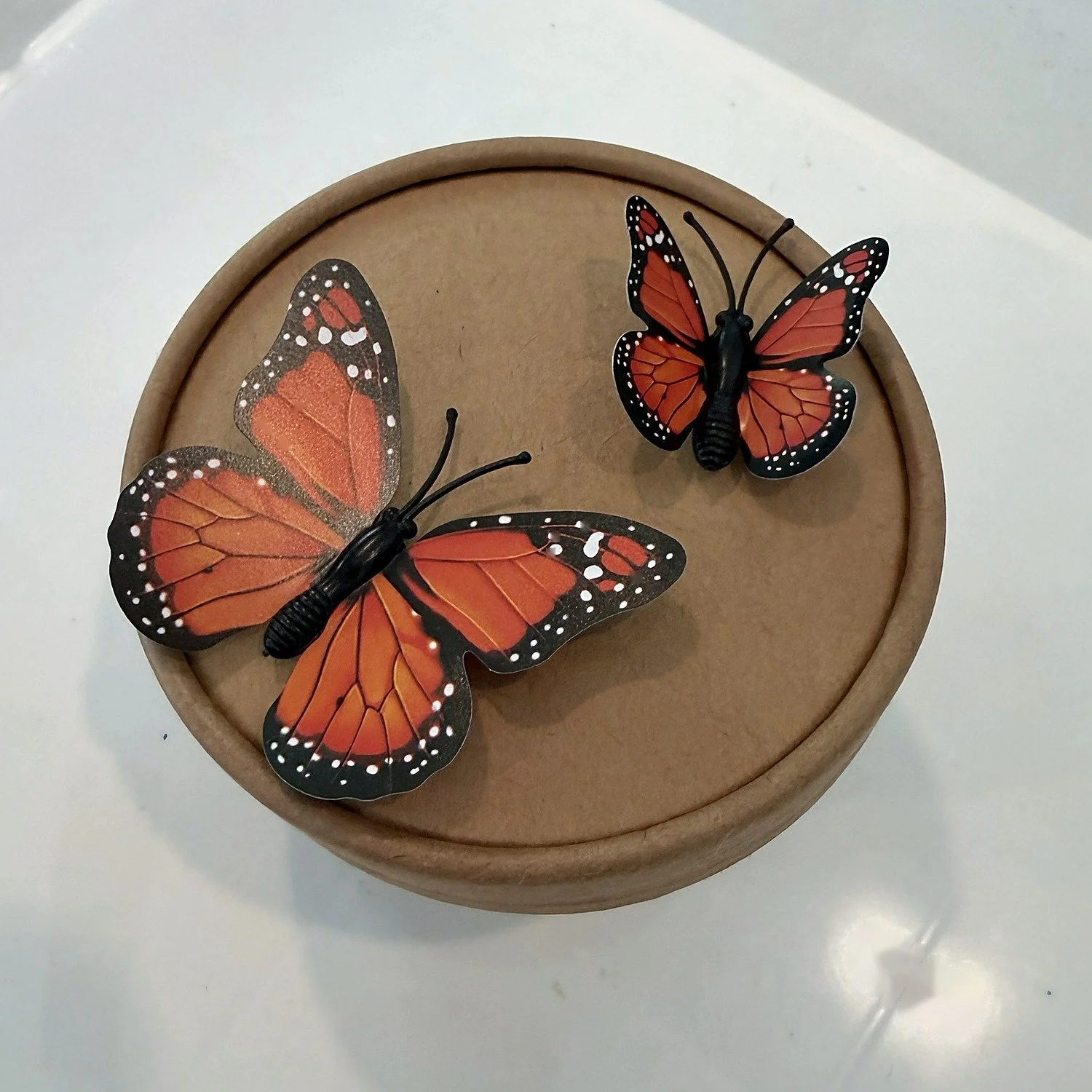 Kraft gift pot lid with a large and a small 3D monarch set on the diagonal.