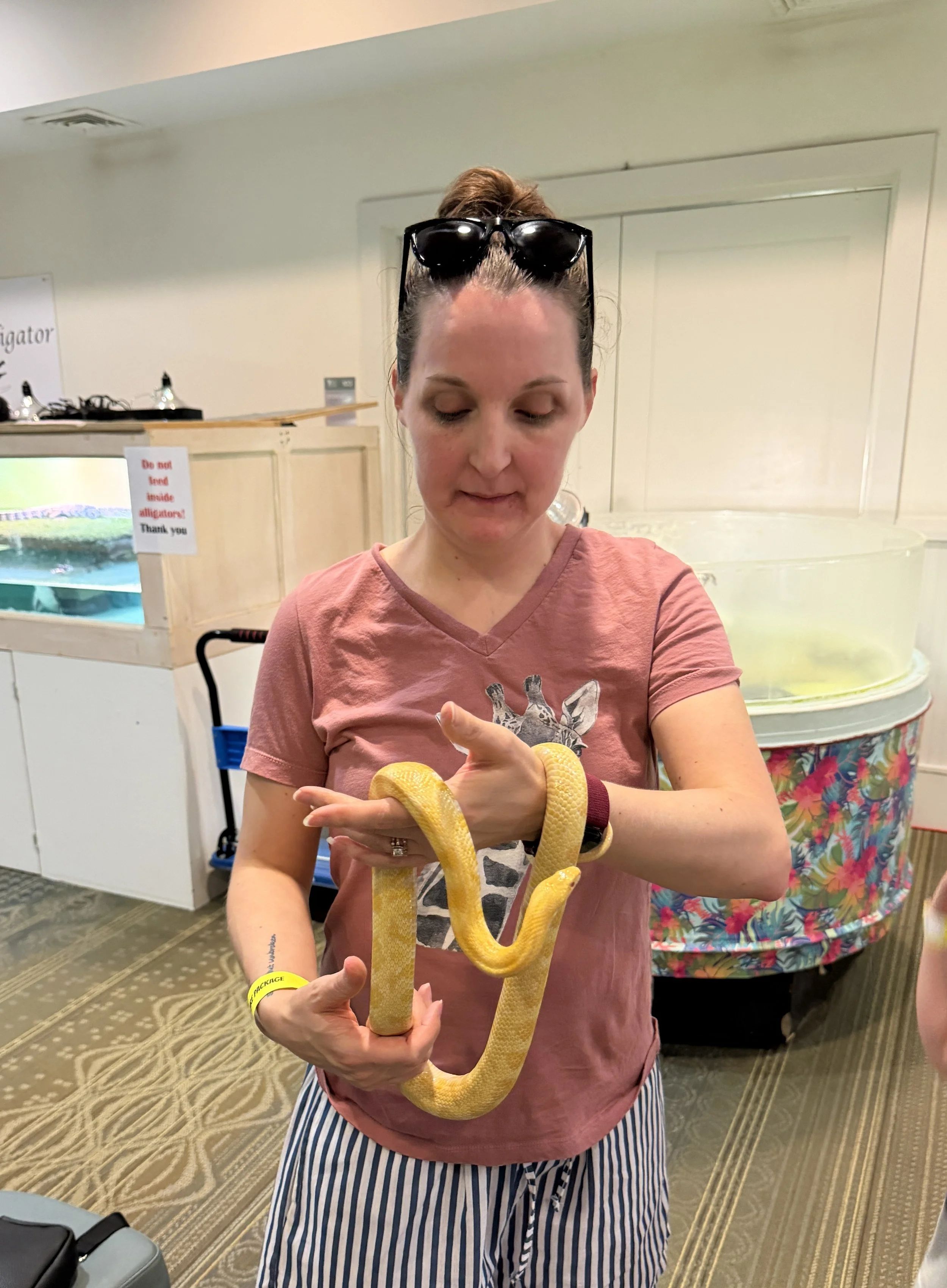 Colleen holding a yellow snake draped across her hands at a wildlife center