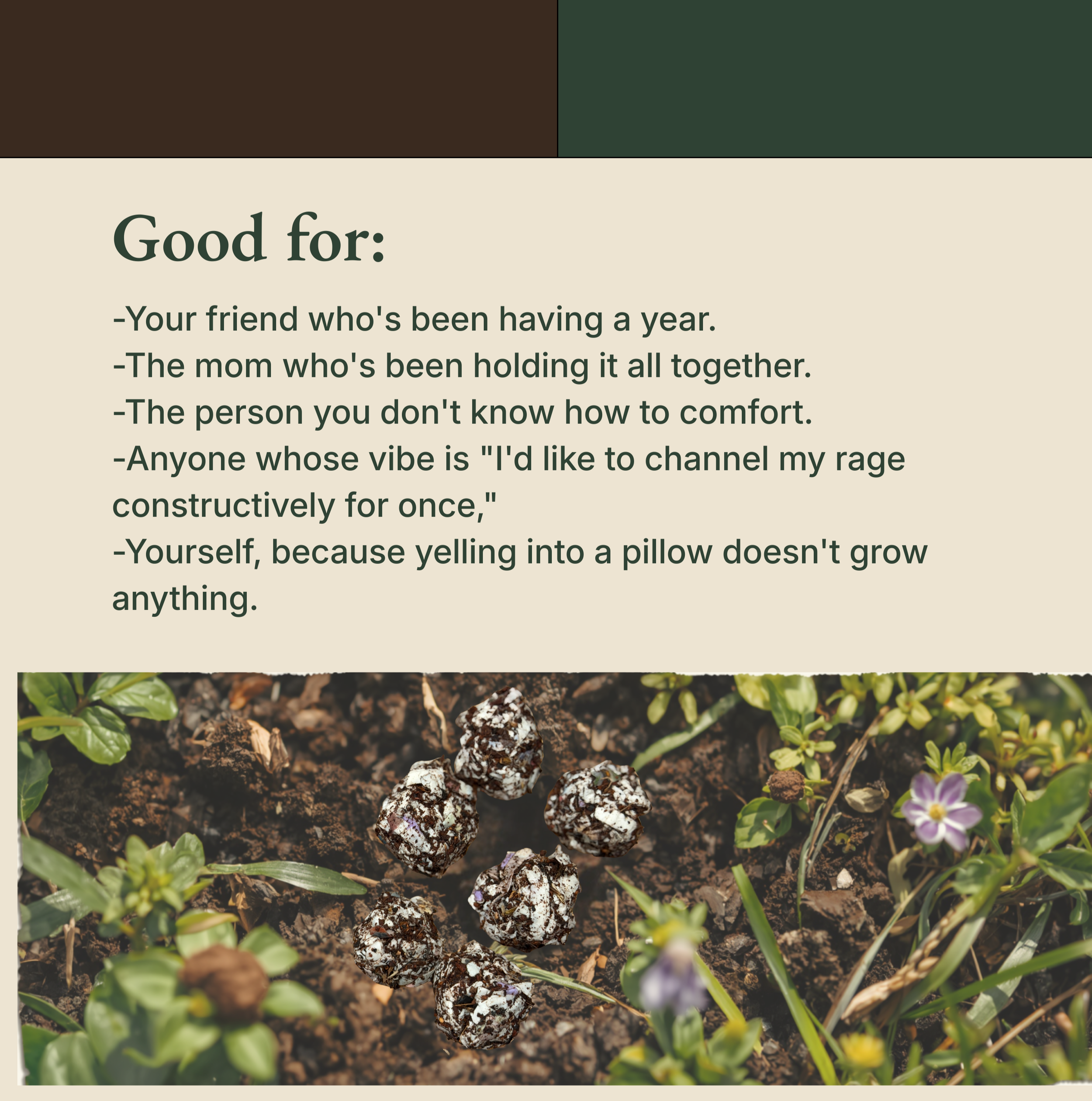 Card listing who the seed balls are good for, above a photo of them on soil