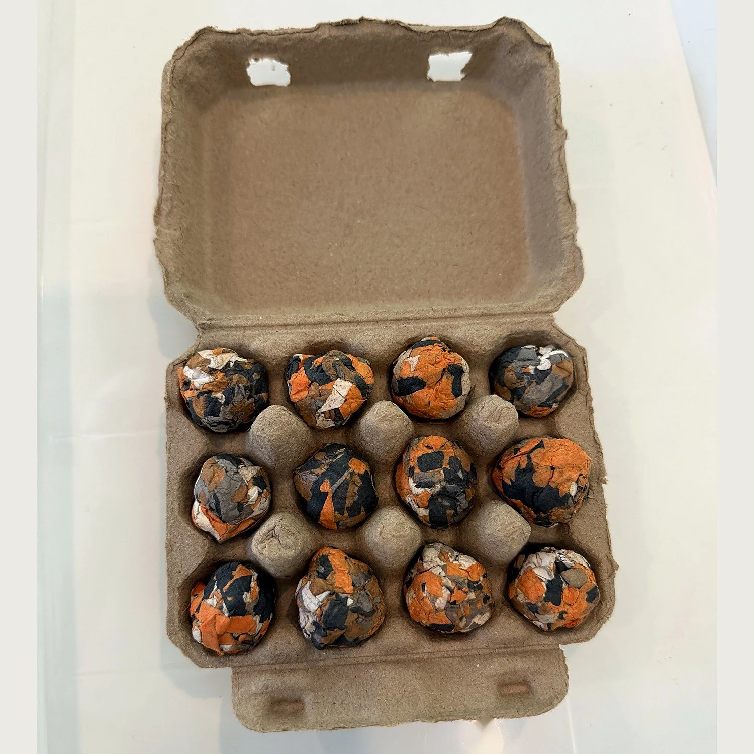 Twelve orange and black recycled-paper milkweed seed balls in an open kraft egg carton.