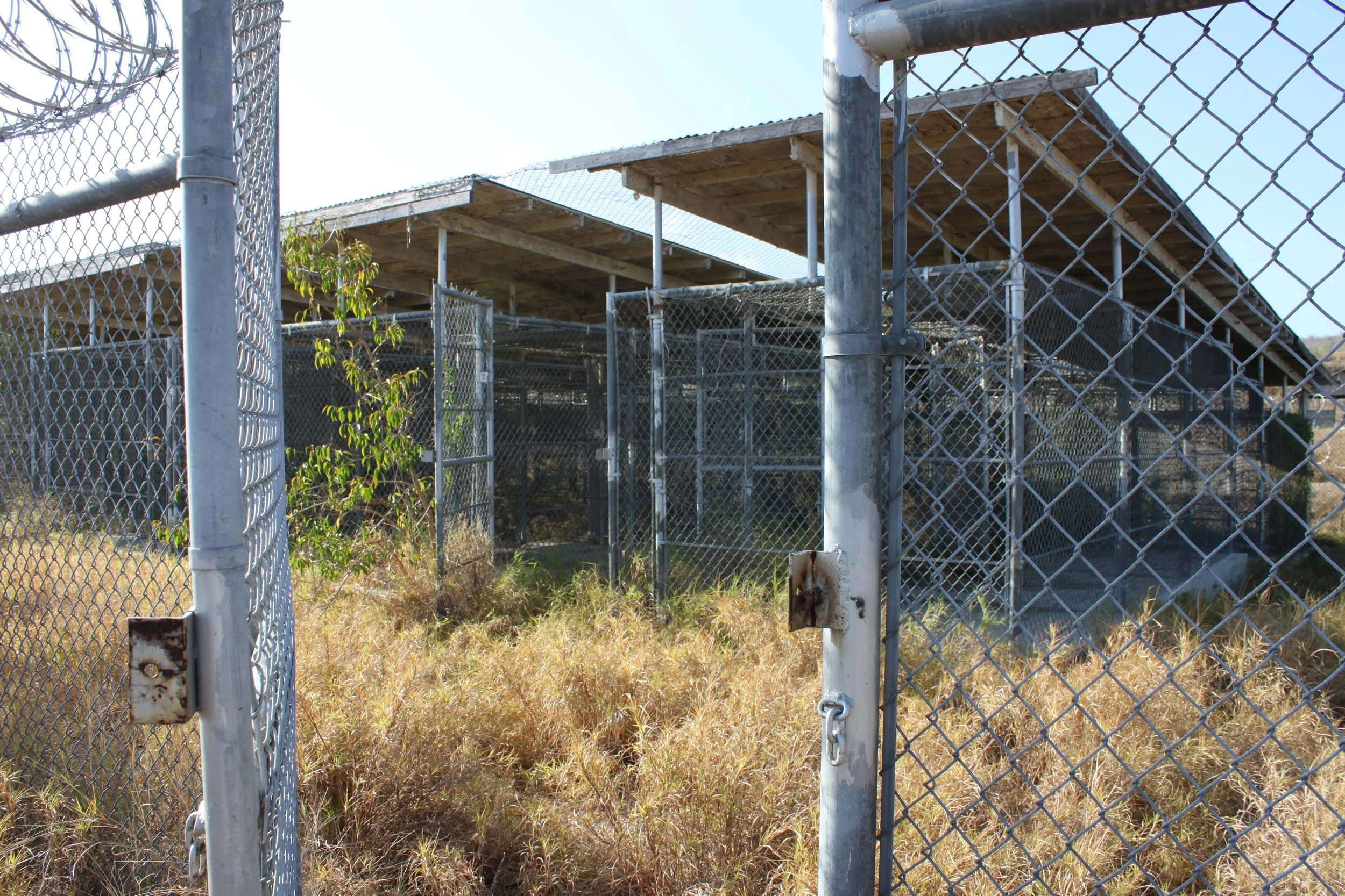 IMG_6721.JPG