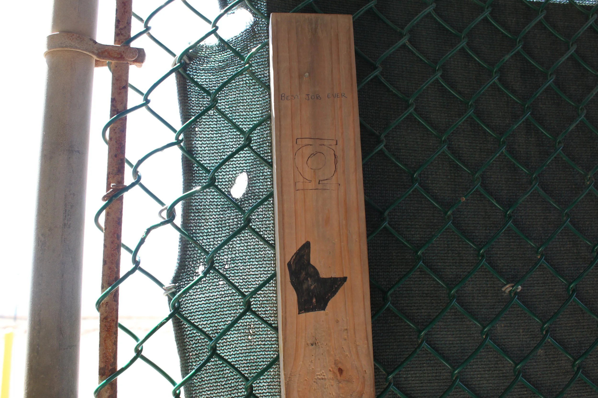 IMG_6892.JPG