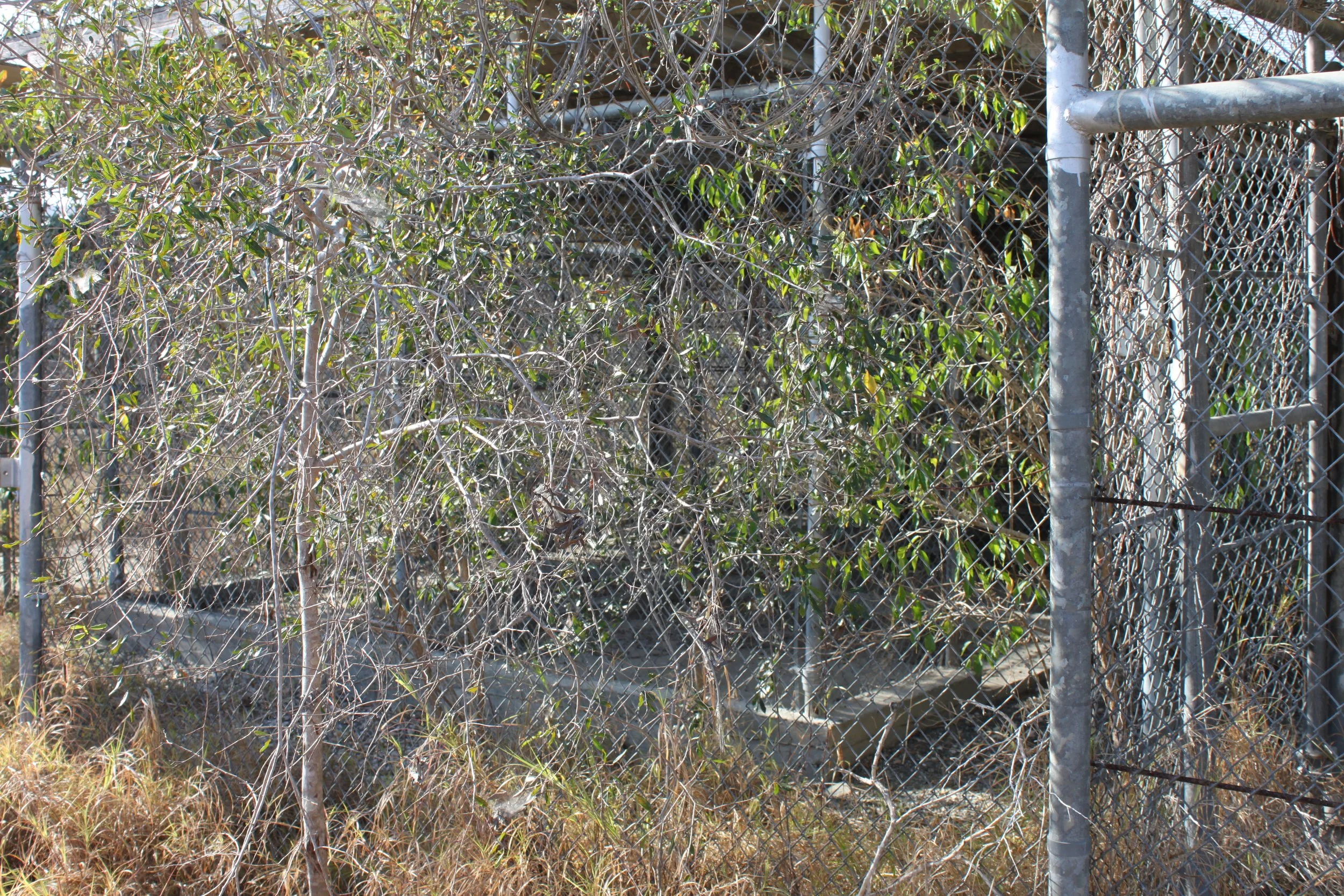 IMG_6744.JPG