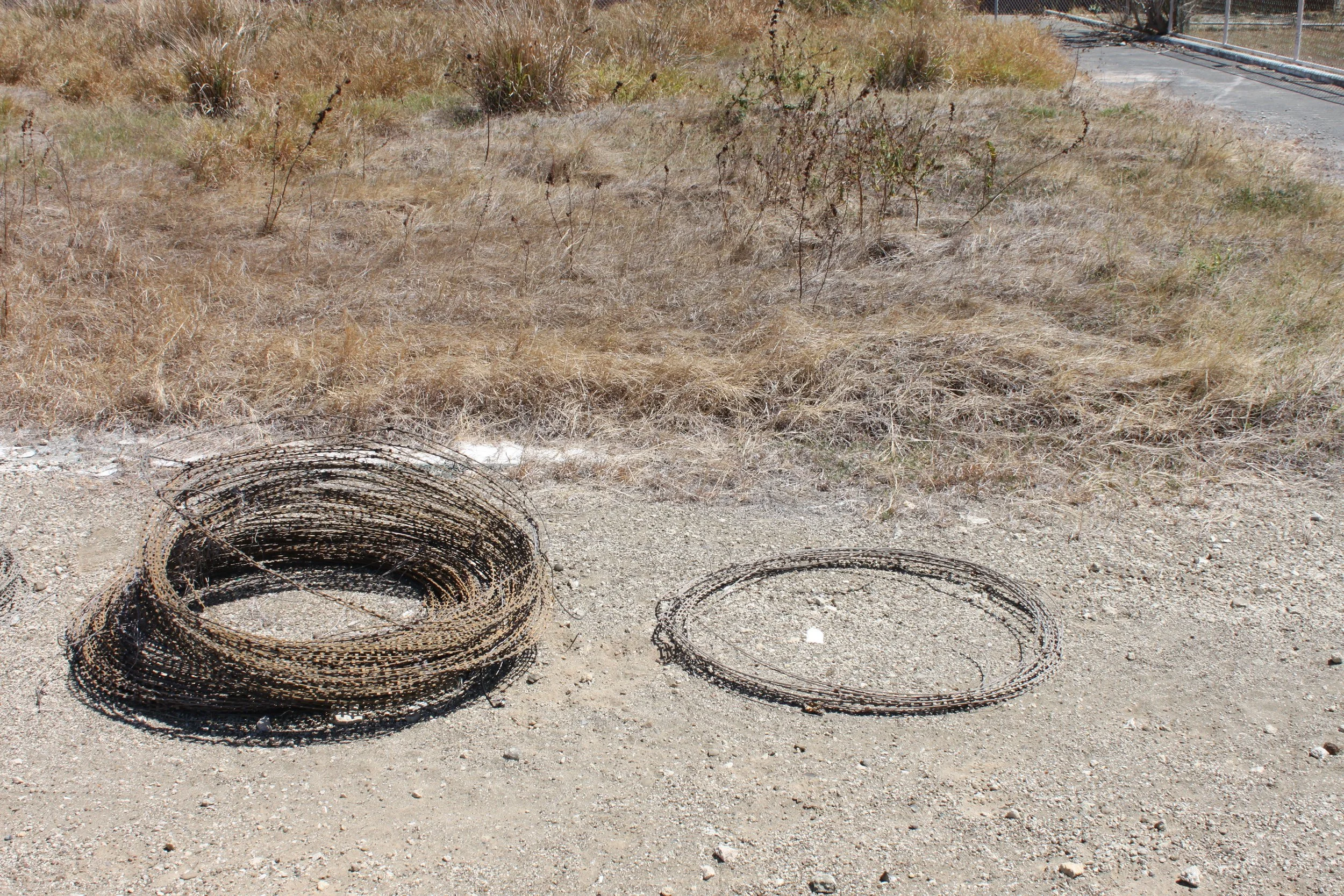 IMG_6490.JPG