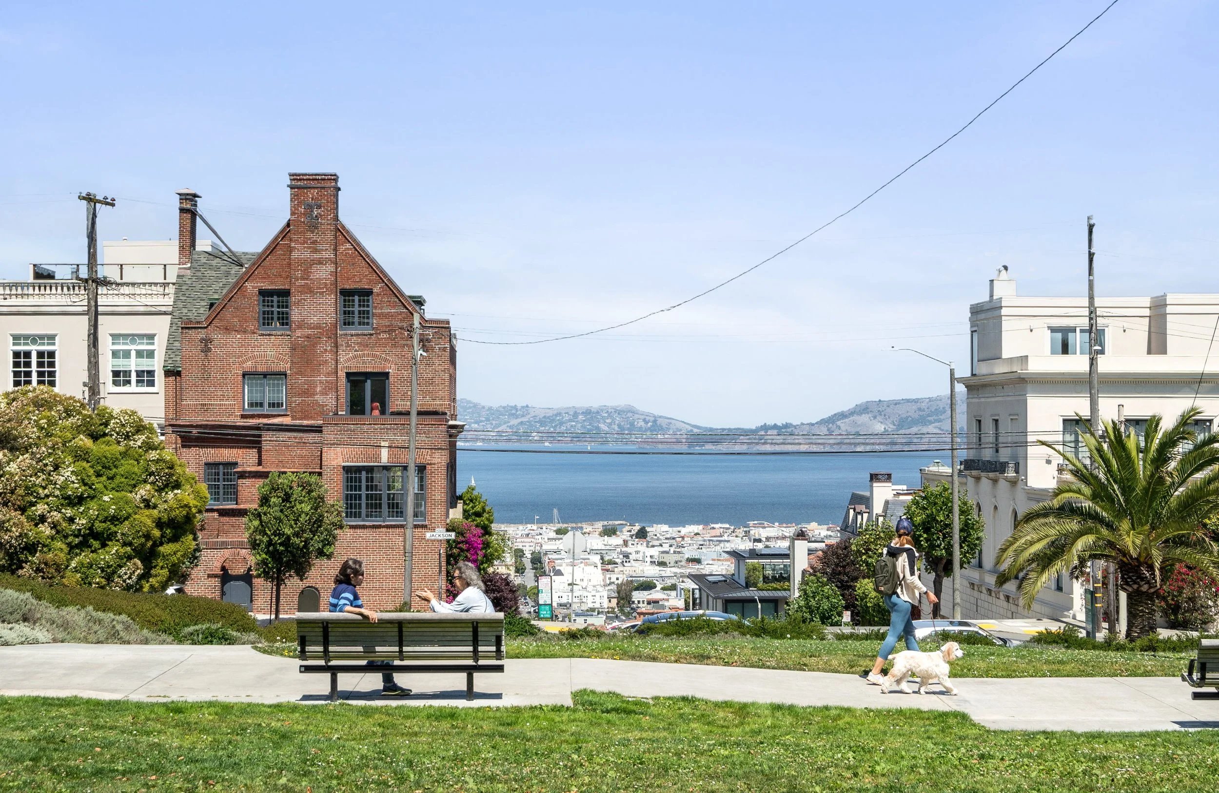 People sitting on benches in a park with trees and bushes, walking their dog, with a view of water and hills in the background, and residential buildings on the hillside.