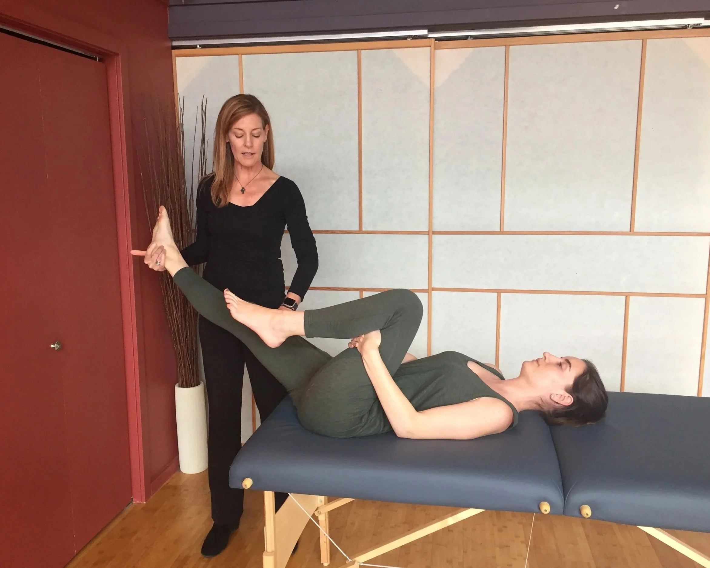 Training in the Tensegrity Medicine methodology incorporating relational anatomy, whole person assessment, and treatment techniques affecting the bodymind.