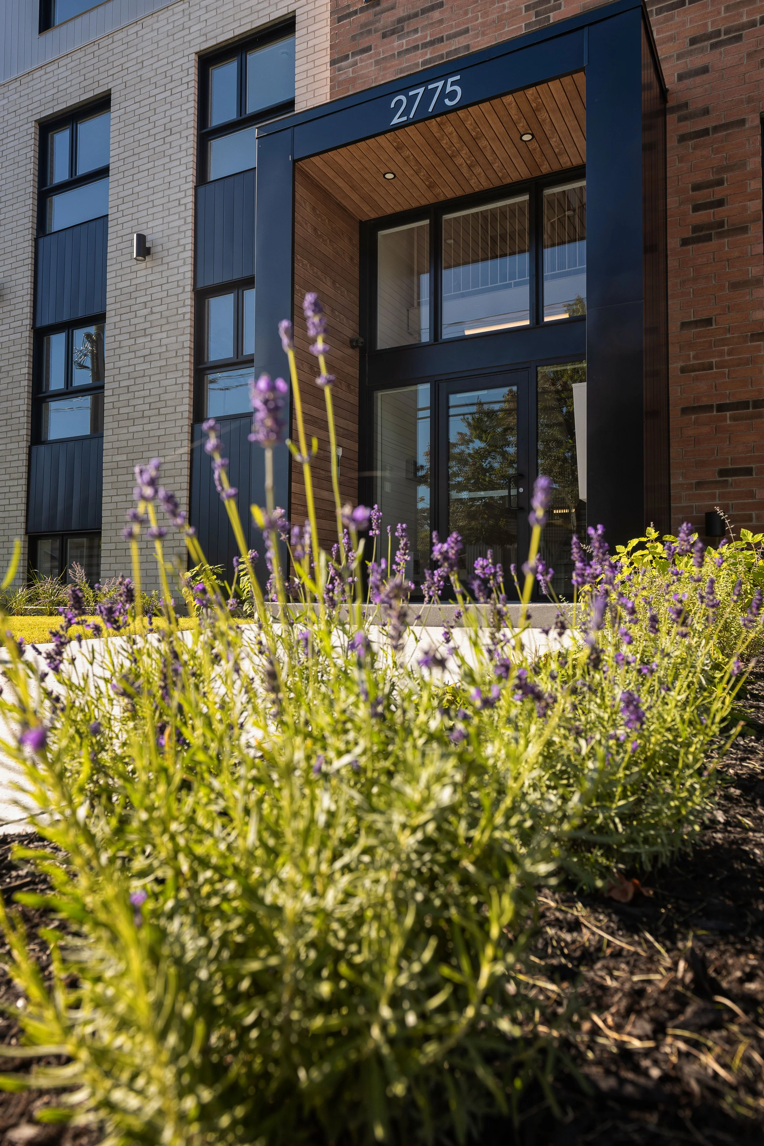 Projet de photographie immobilière pour Groupe Marcil, mettant en valeur les volumes, les matériaux et la lumière naturelle de ces résidences. 