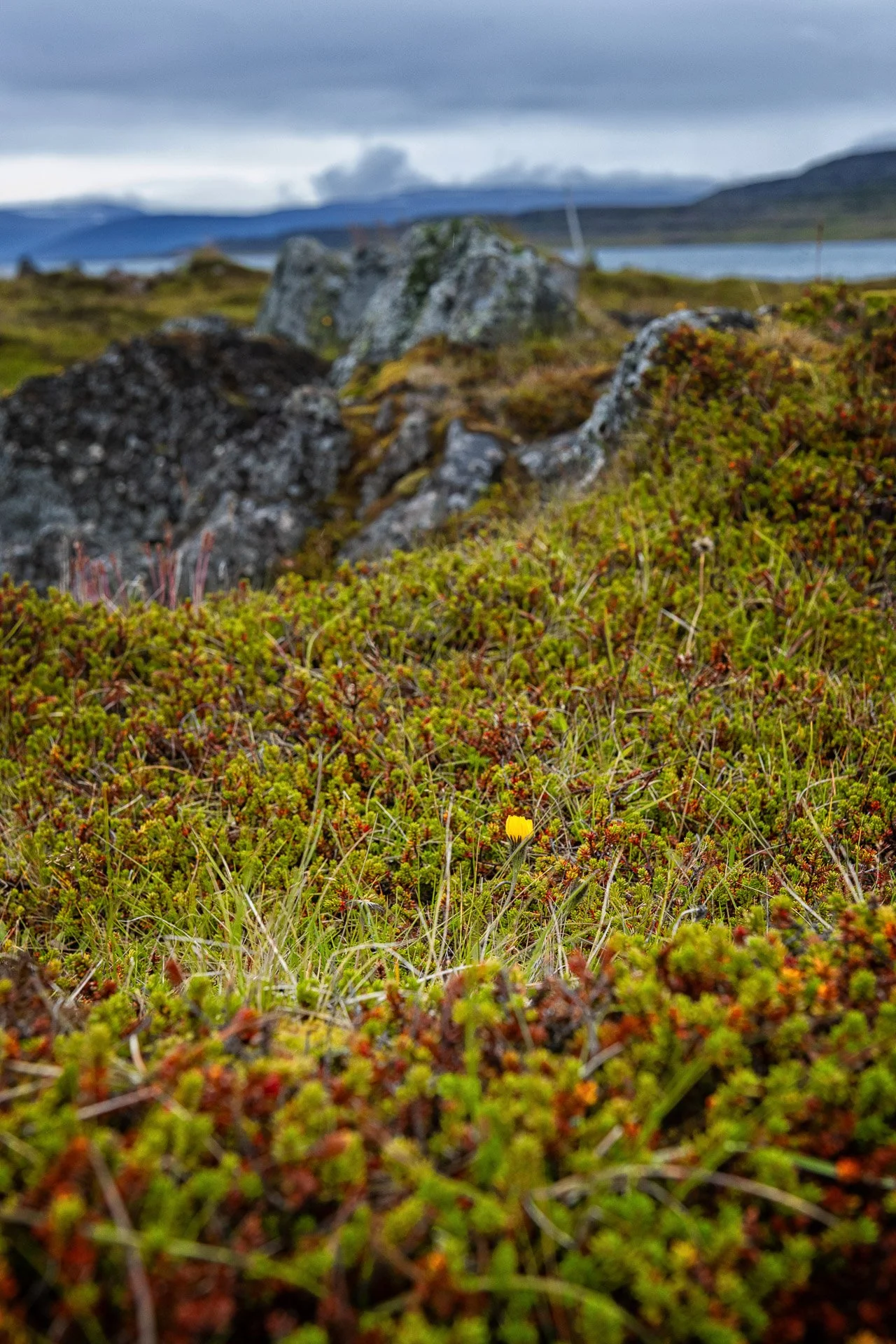 PRP_1352.jpg