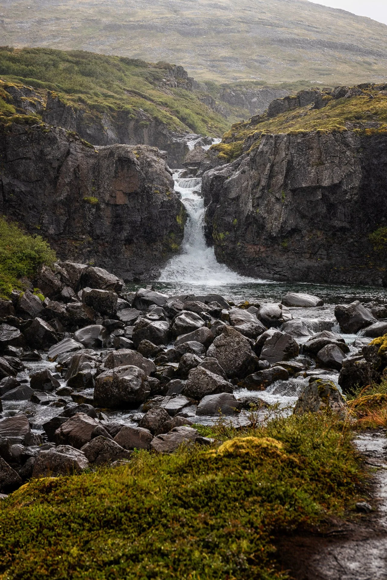 PRP_1357.jpg