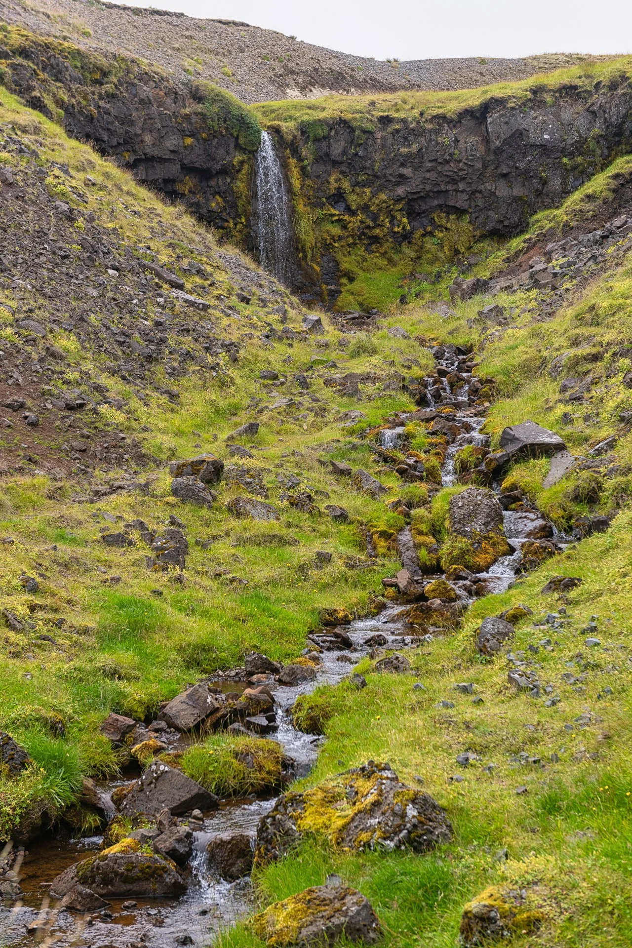 PRP_1152.jpg