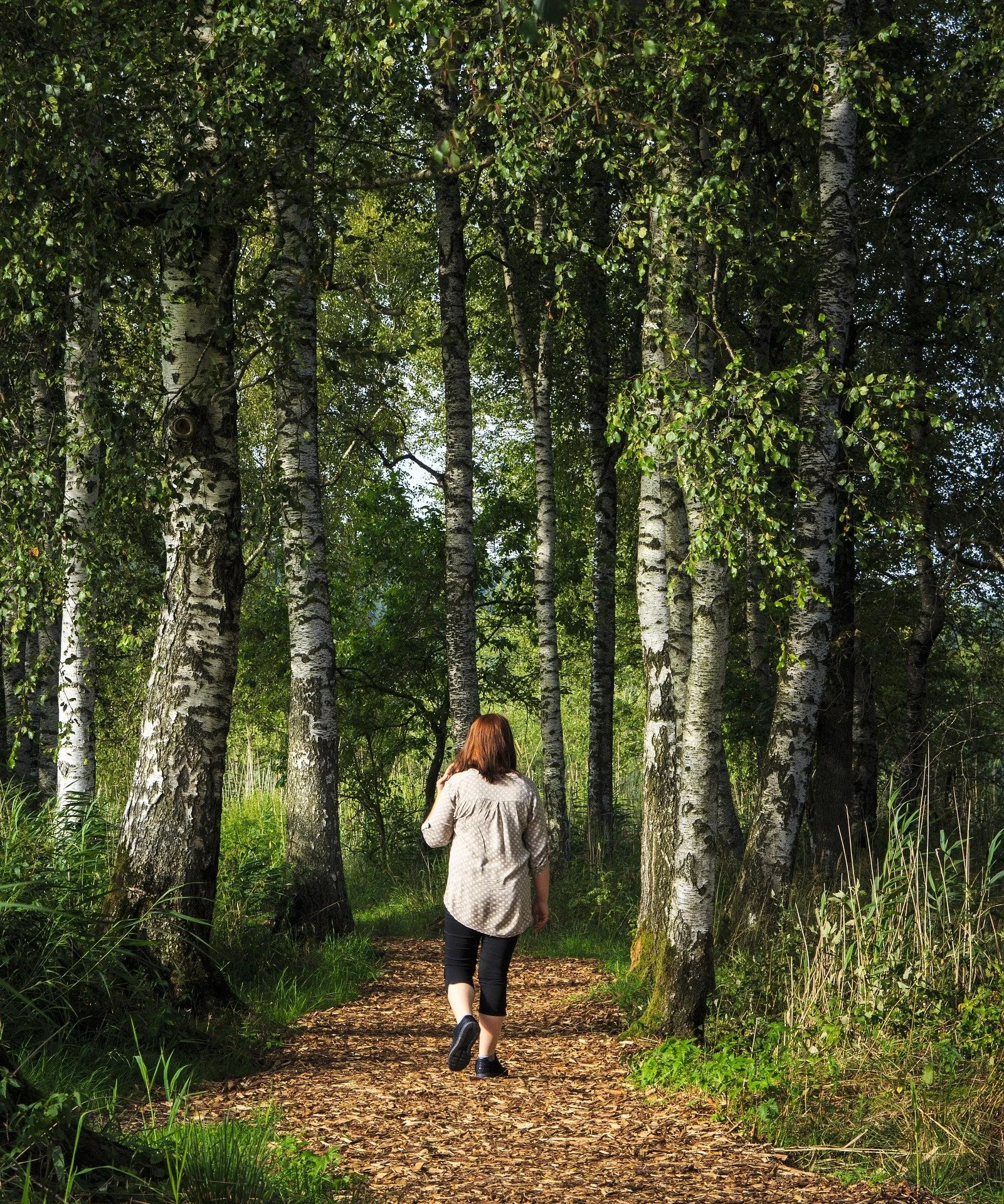 A woman walks on a leaf-covered forest path surrounded by tall white-barked birch trees with lush green foliage.