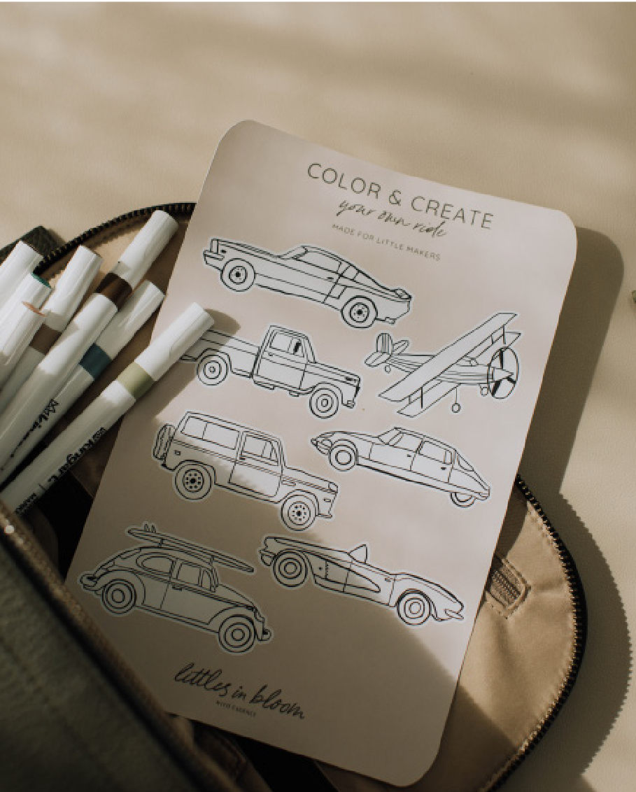cadence-cars-sticker-sheet-travel-pouch.jpg